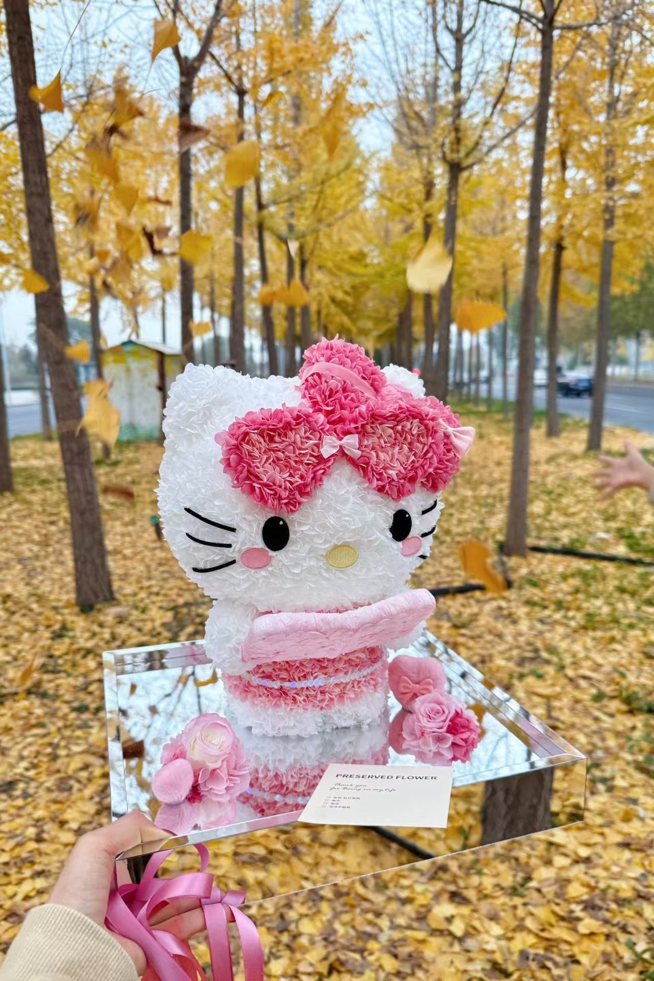 Kitty ❤️ Studying 📖 Kitty Reading Books Preserved Flowers Box 🇸🇬SG In stock