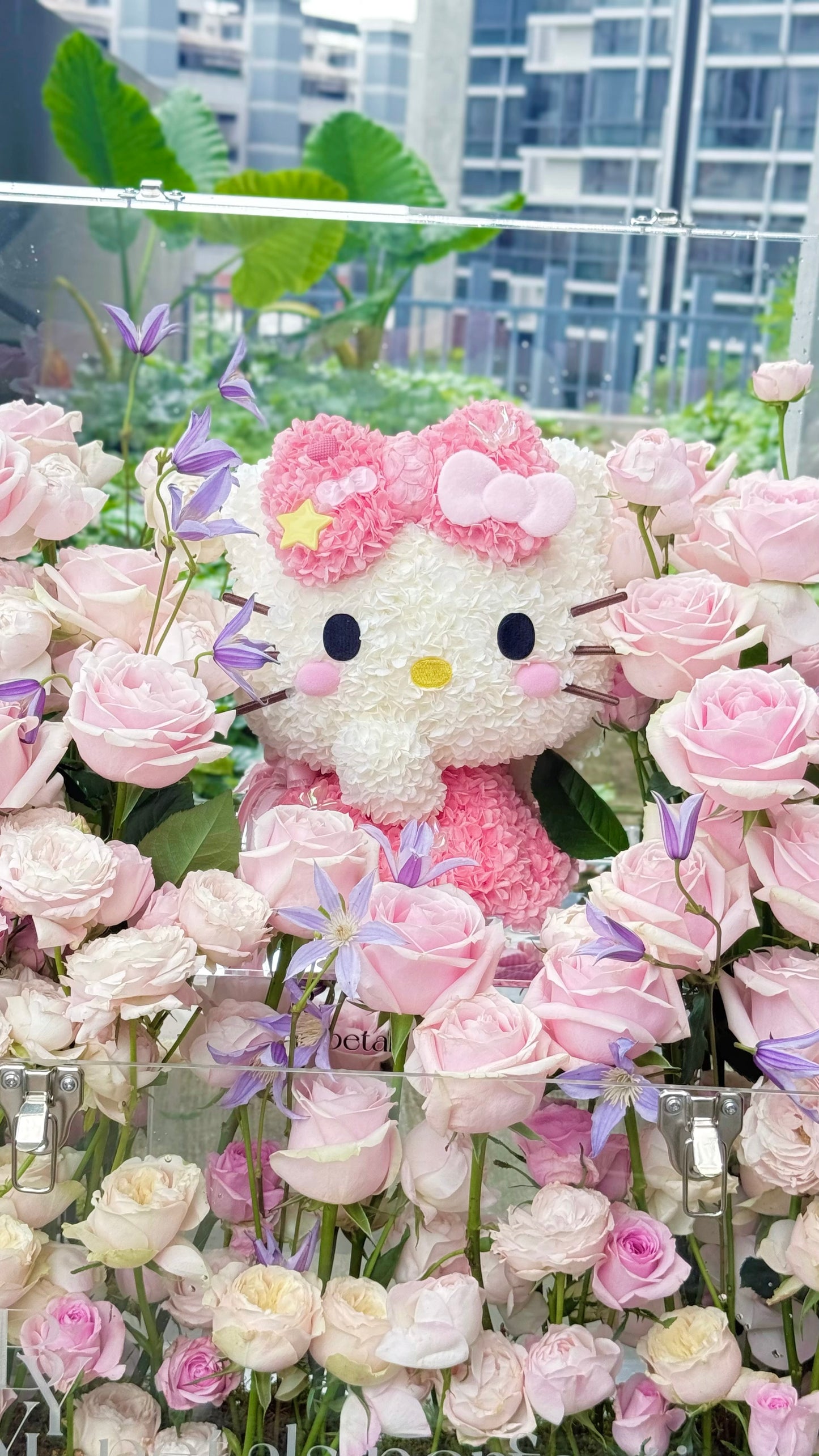 Hello Kitty Dream Fresh Roses Garden 🌹