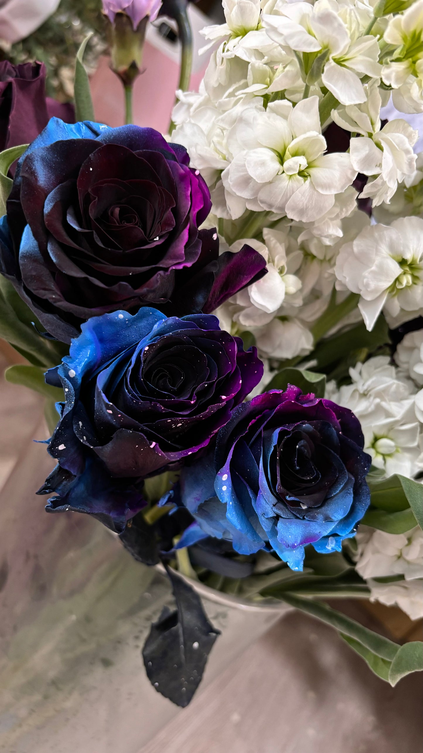 Starry Sky Ecuador Fresh Rose Bouquet ✨