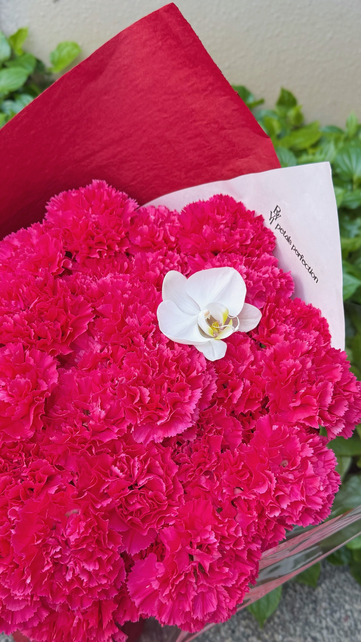 Mother’s Day Fresh Carnations Bouquet