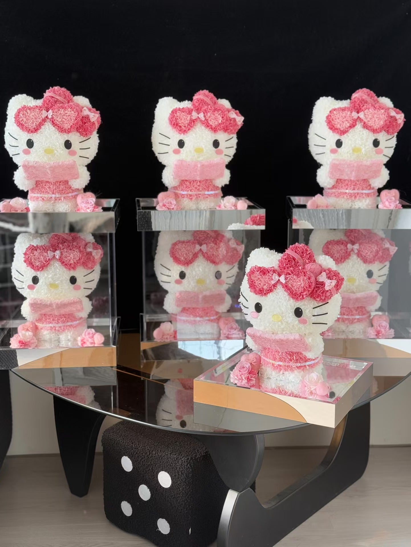 Kitty ❤️ Studying 📖 Kitty Reading Books Preserved Flowers Box 🇸🇬SG In stock