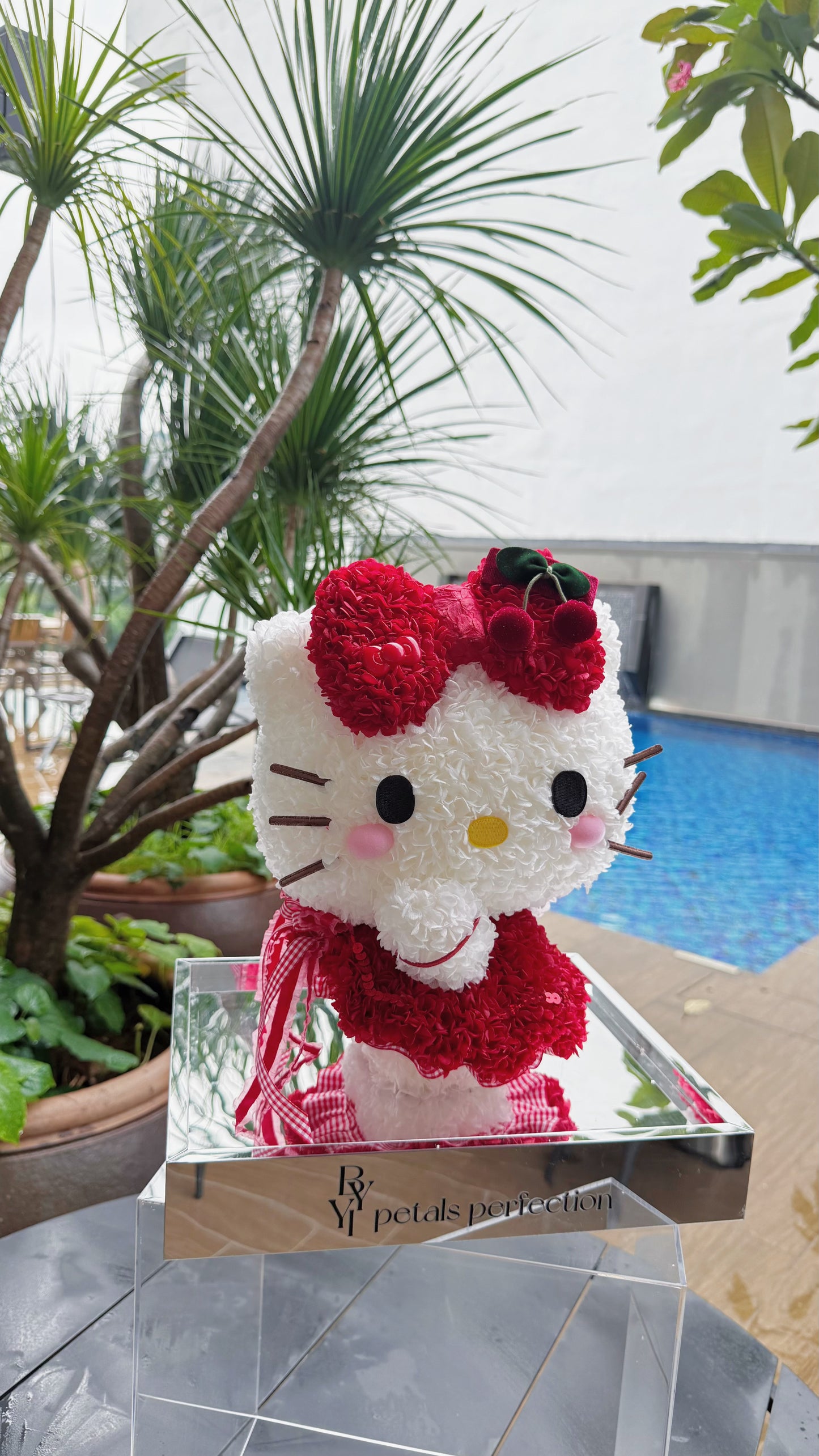 Ballet Kitty ❤️ Preserved Flowers Box🇸🇬 SG In Stock