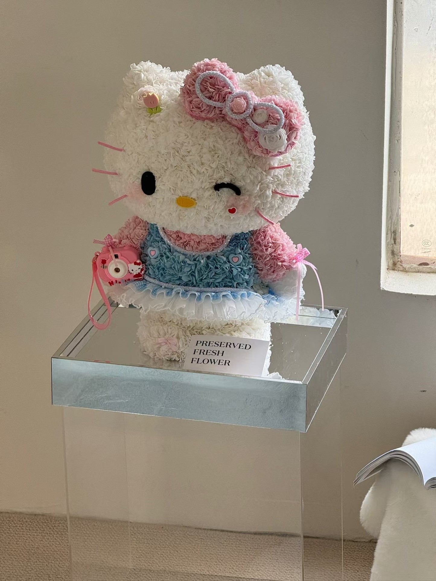 Standing Giant Kitty & Her Camera 🩷 Preserved Flowers Box 🇸🇬 SG In Stock