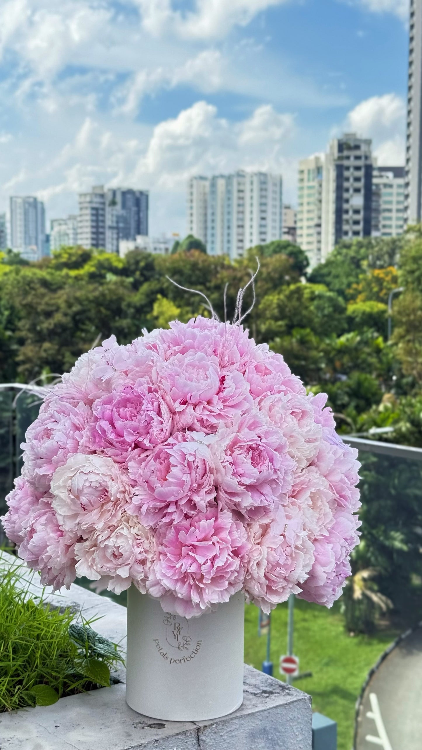 Holland Peonies Sarah Bernhardt Gift Box 🩷 Fresh Flowers