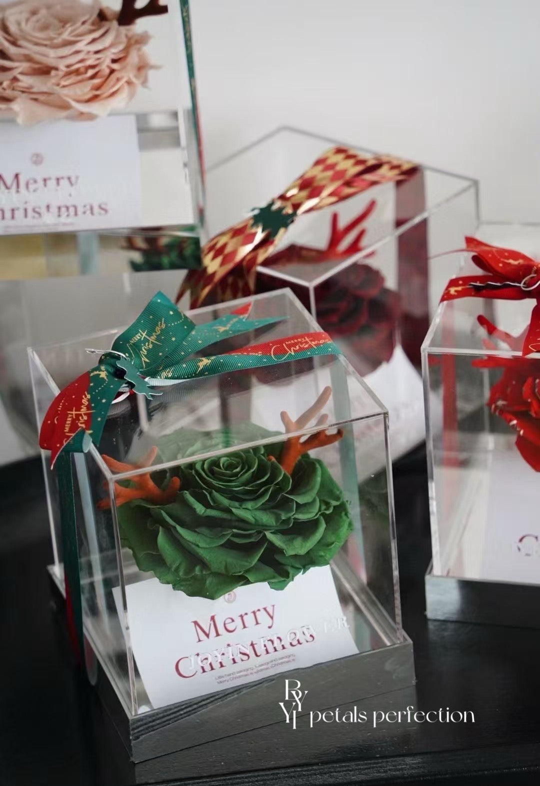 Christmas Ecuador Preserved Rose Gift Box