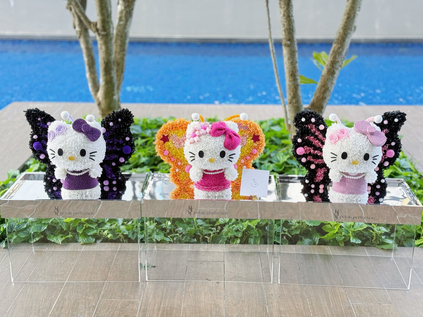 Butterfly ๐ฆ Kitty Preserved Flowers Box ๐ SG In Stock ๐ธ๐ฌ