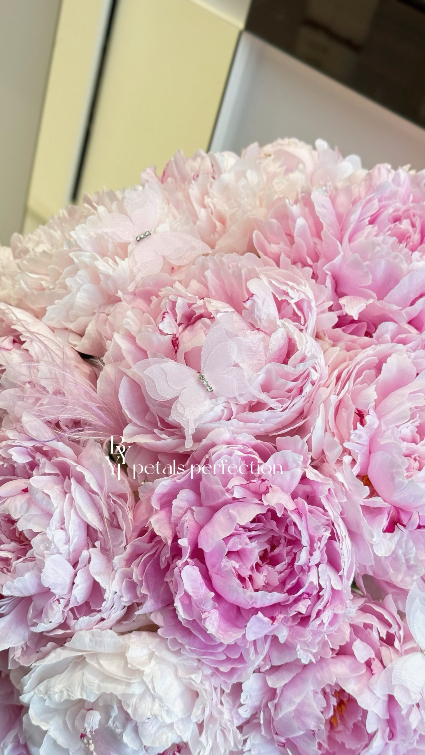 Holland Peonies Sarah Bernhardt Gift Box 🩷 Fresh Flowers