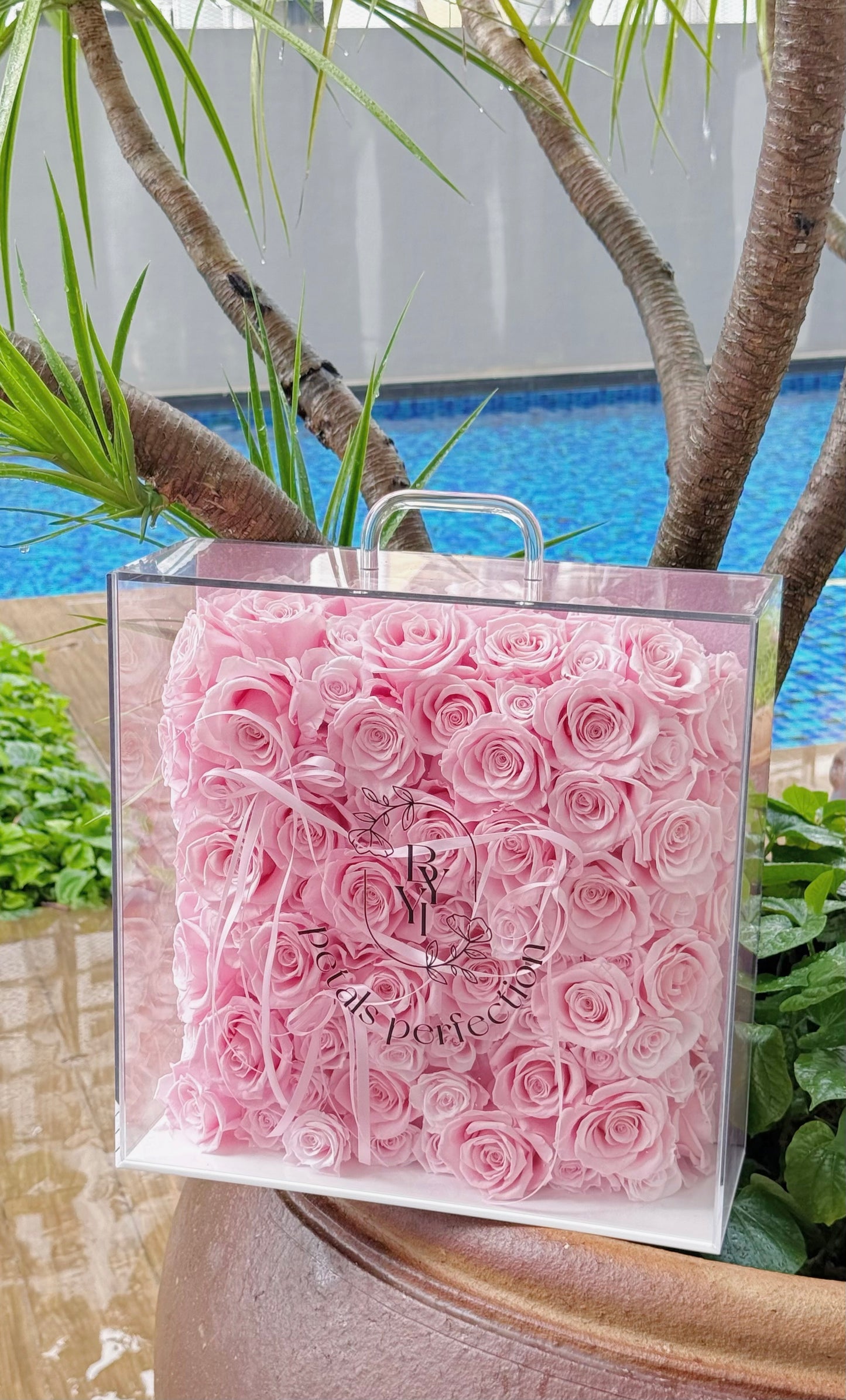 Forever Love ๐ธ Sakura Pink Preserved Roses Box ๐ธ๐ฌ SG In Stock