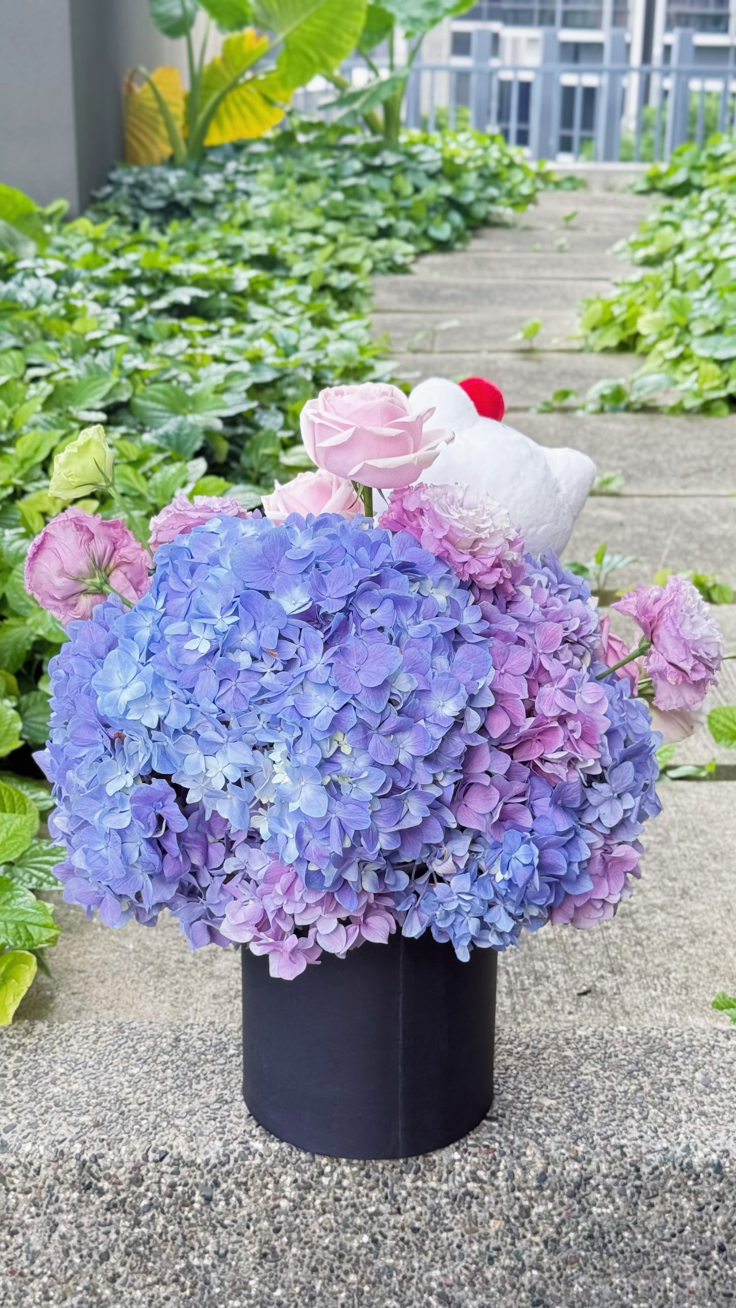 Japan Limited Edition Kitty Fresh Hydrangea Roses Garden 🐱