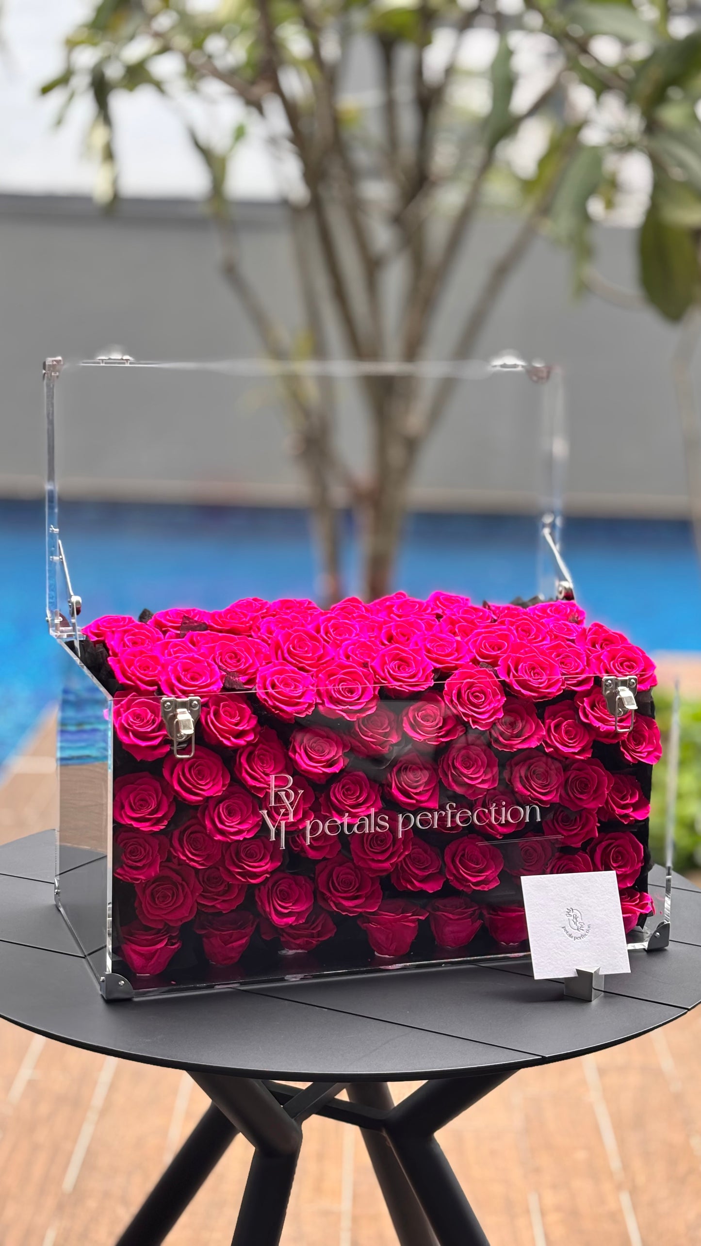 Floyd Preserved Roses Garden Medium Size 🩷