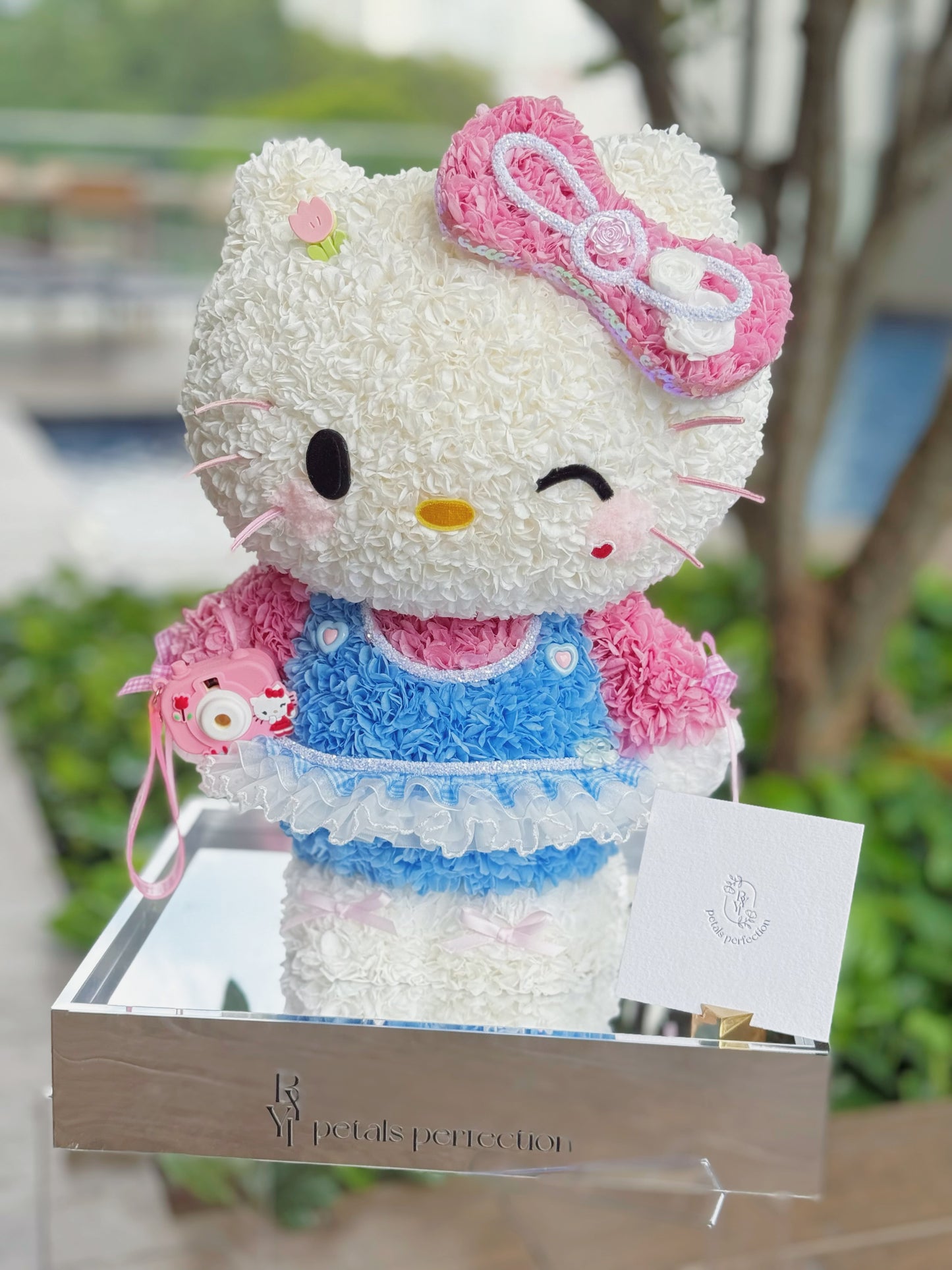 Standing Giant Kitty & Her Camera 🩷 Preserved Flowers Box 🇸🇬 SG In Stock