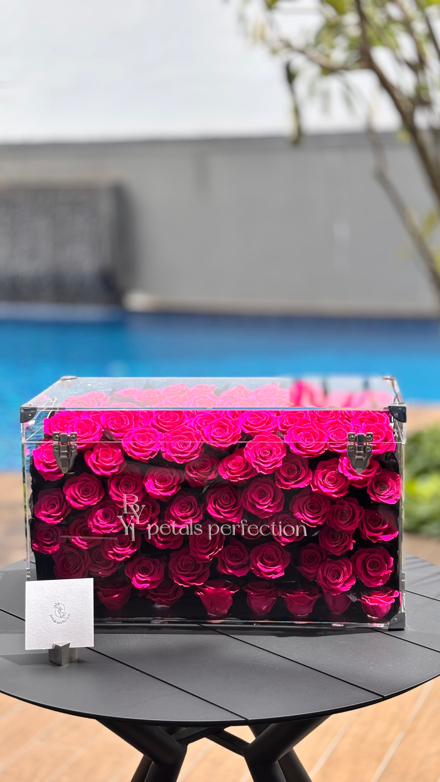 Floyd Preserved Roses Garden Medium Size 🩷