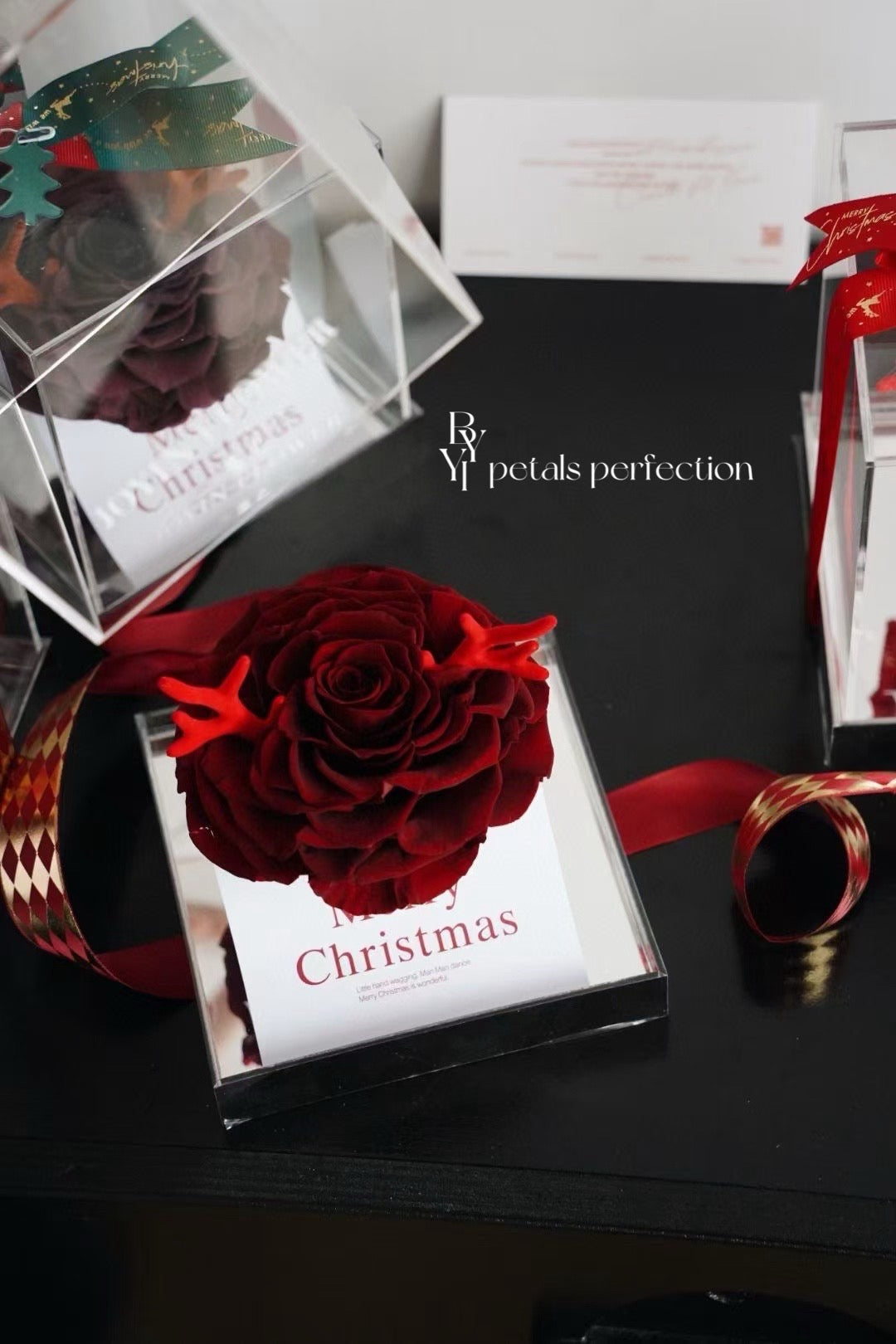 Christmas Ecuador Preserved Rose Gift Box