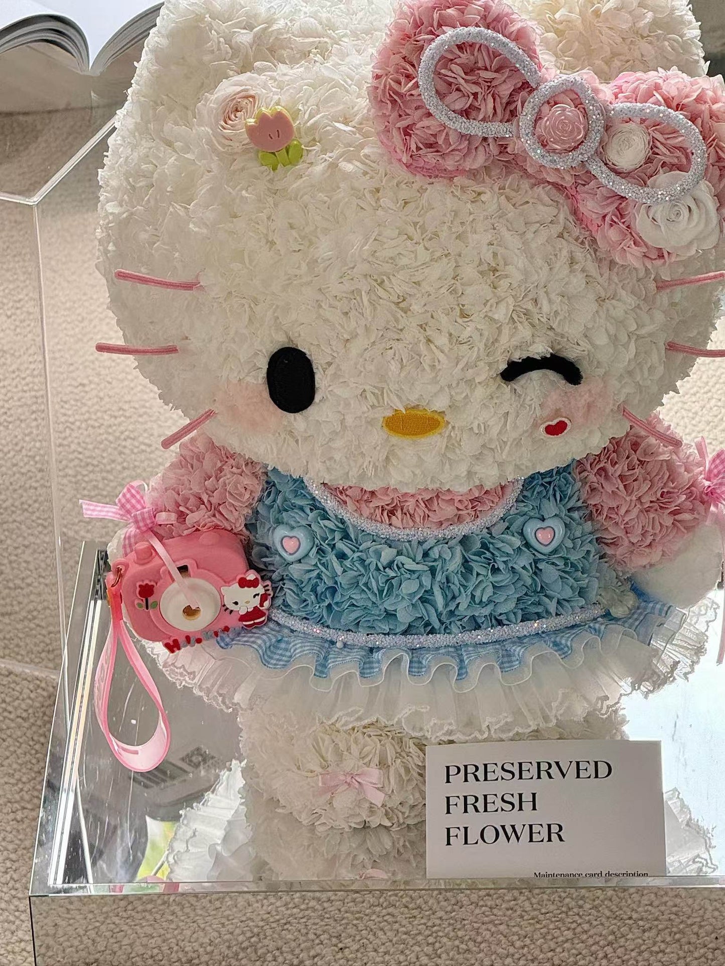 Standing Giant Kitty & Her Camera 🩷 Preserved Flowers Box 🇸🇬 SG In Stock