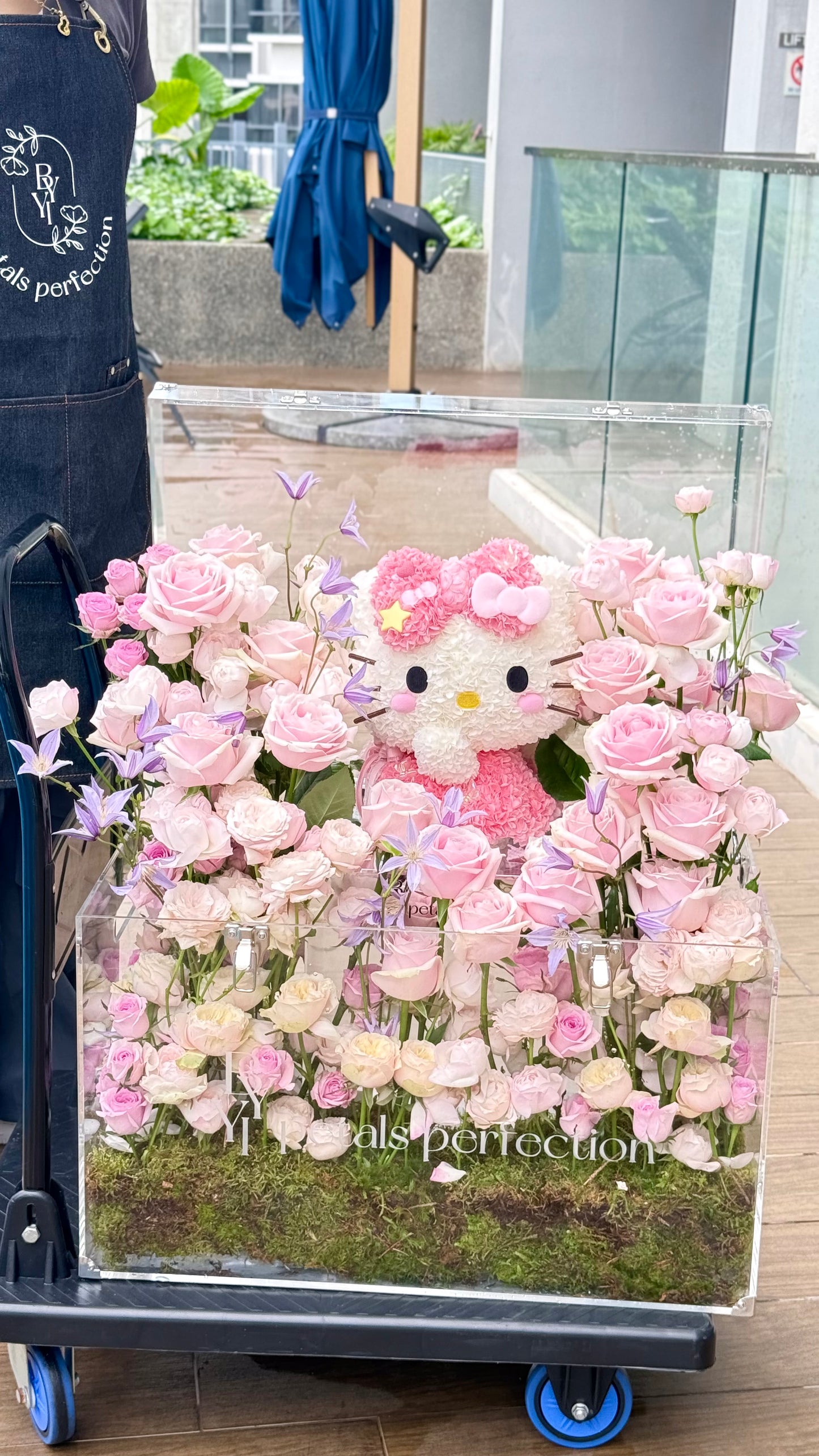Hello Kitty Dream Fresh Roses Garden 🌹