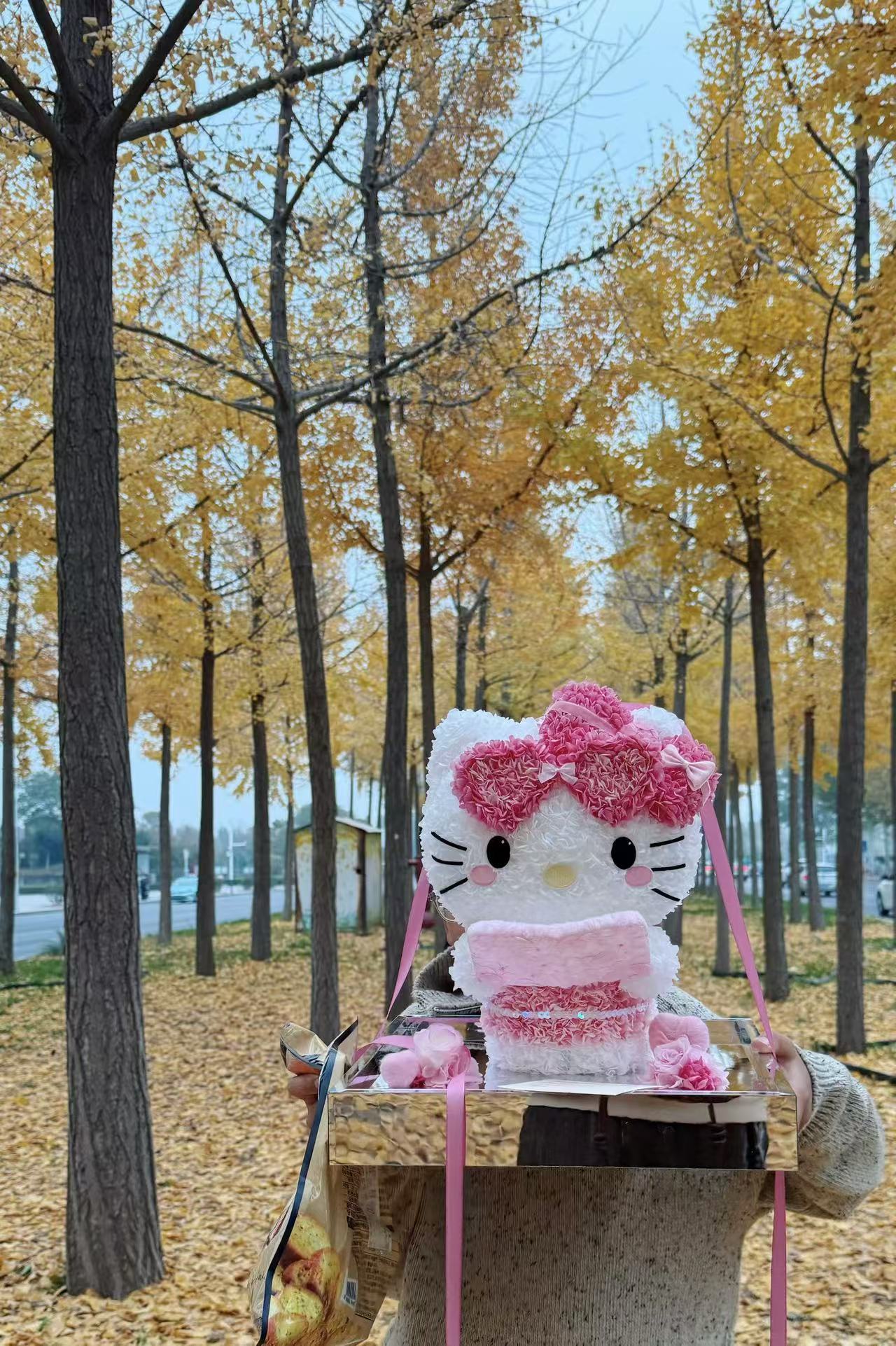 Kitty ❤️ Studying 📖 Kitty Reading Books Preserved Flowers Box 🇸🇬SG In stock
