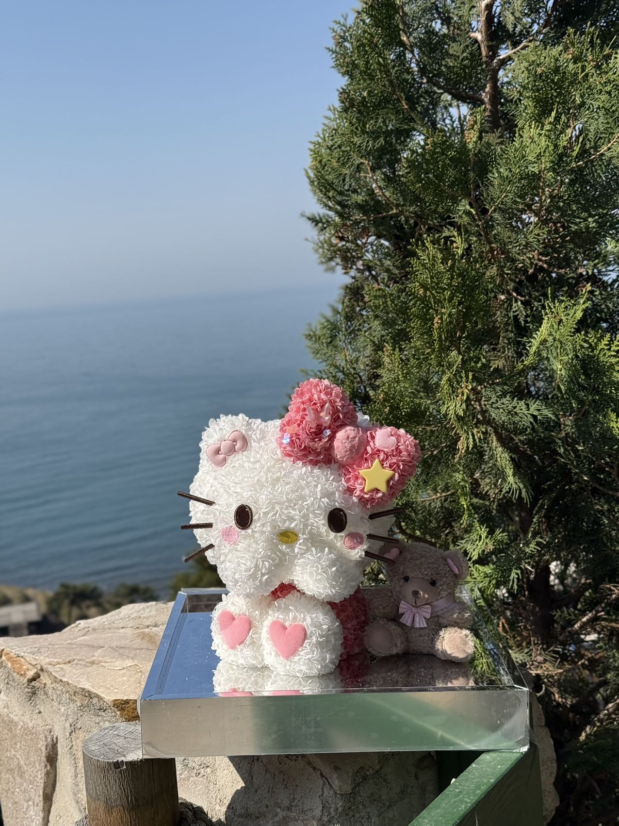Shy Kitty & Teddy Preserved Flowers Box