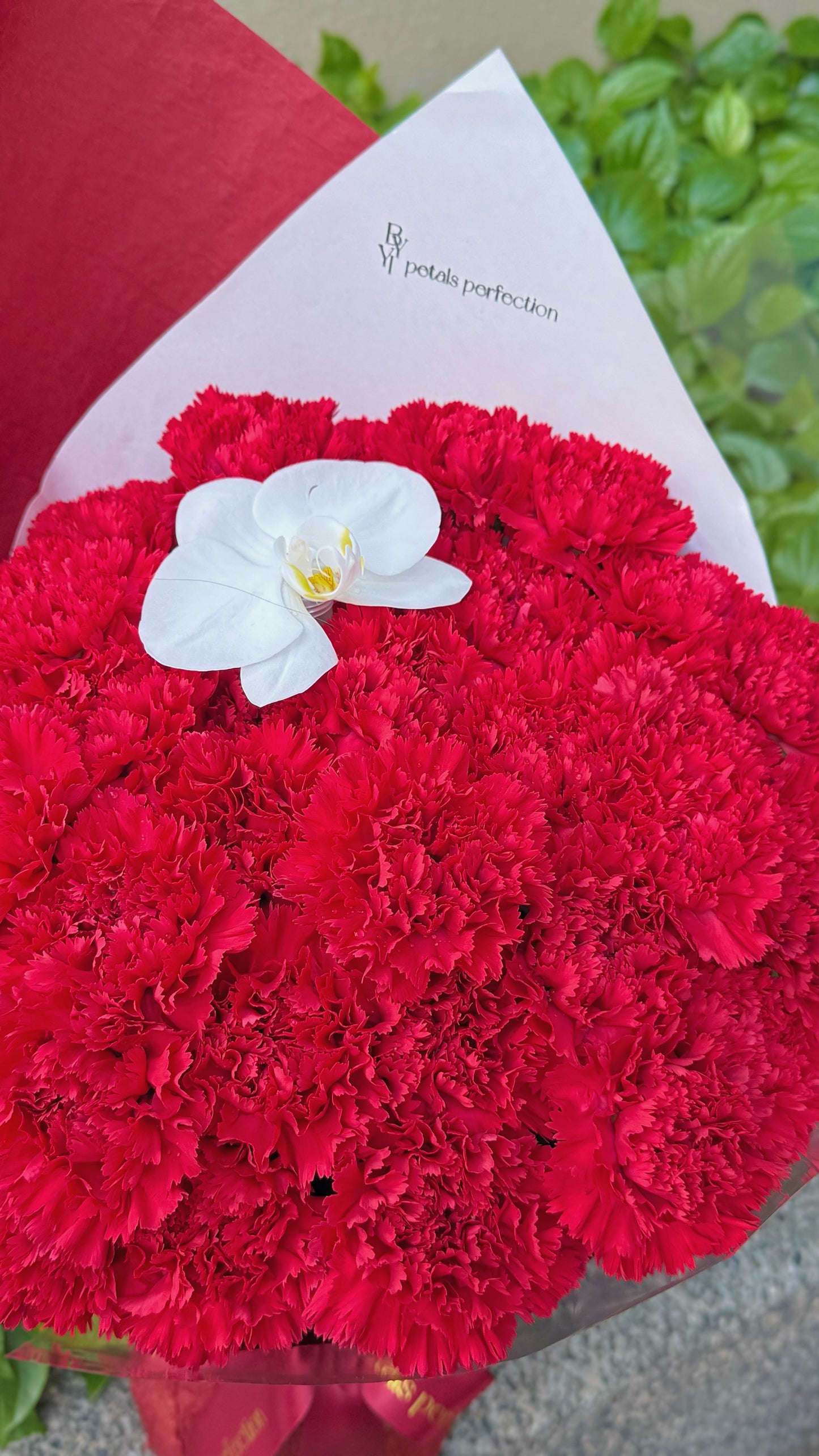 Mother’s Day Fresh Carnations Bouquet