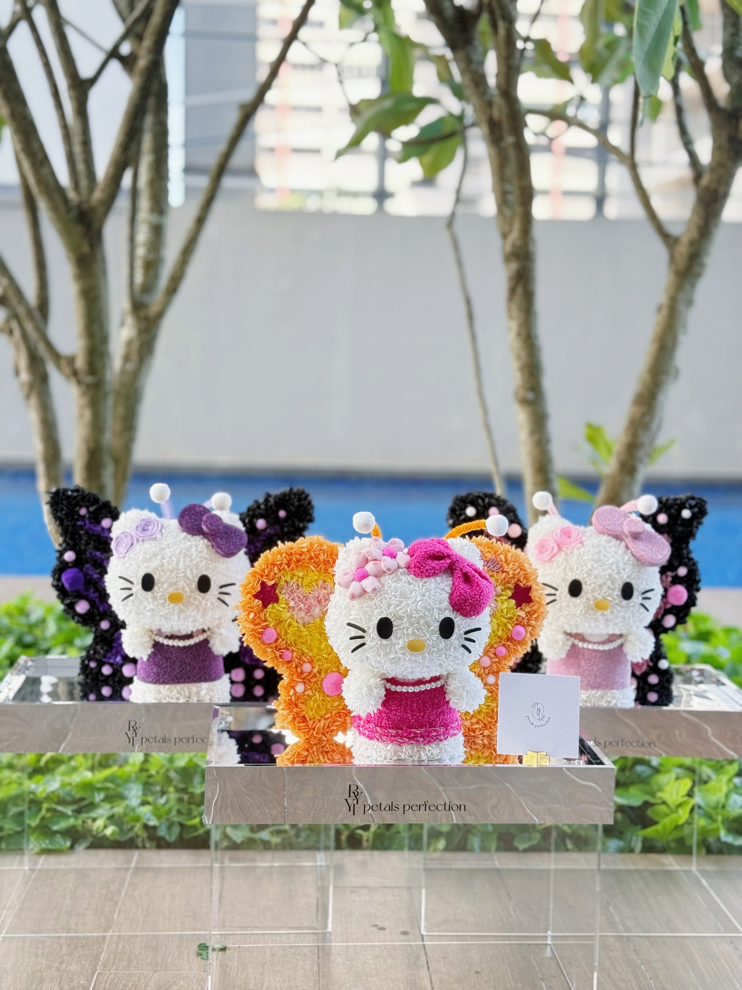 Butterfly ๐ฆ Kitty Preserved Flowers Box ๐ SG In Stock ๐ธ๐ฌ