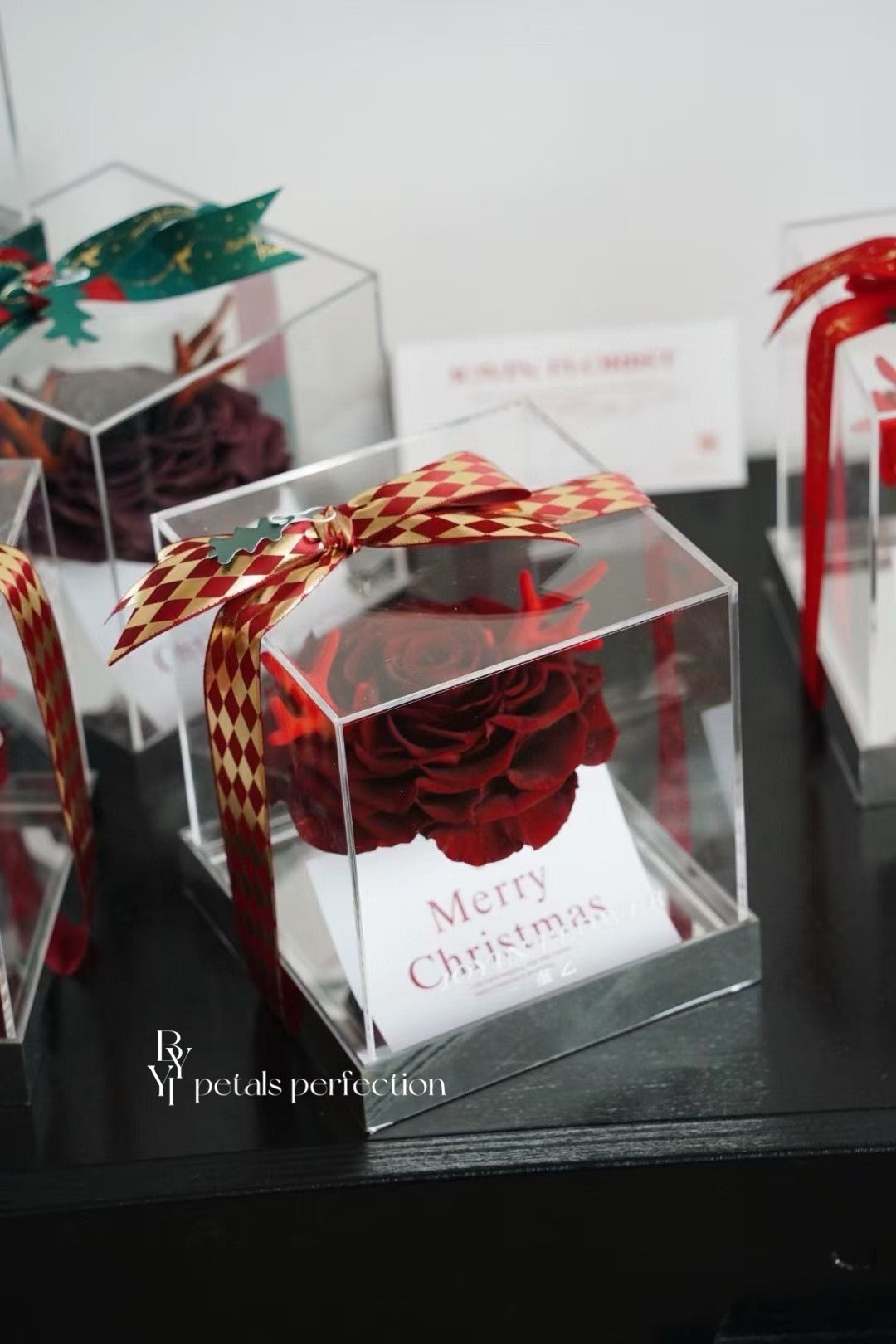 Christmas Ecuador Preserved Rose Gift Box