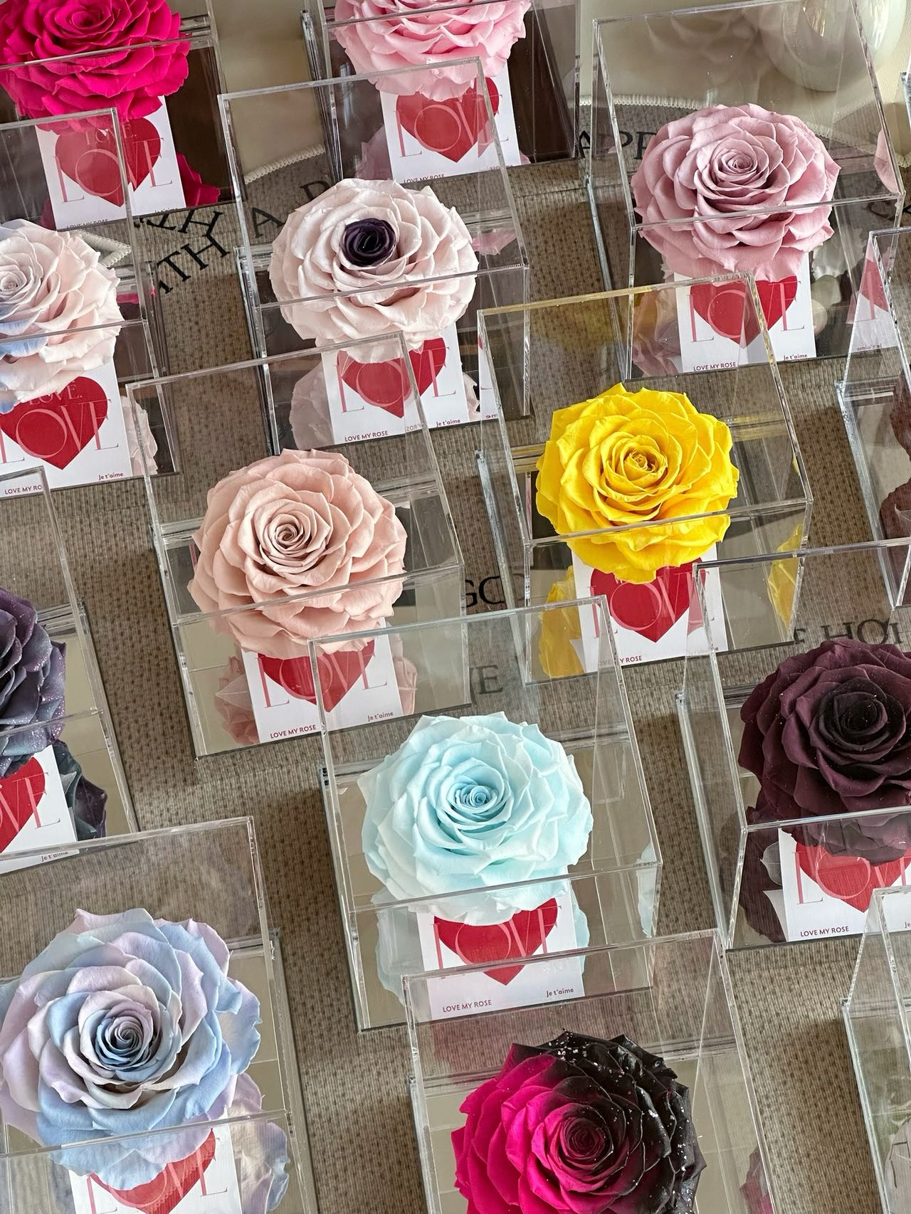 Ecuador Preserved Rose Gift Box