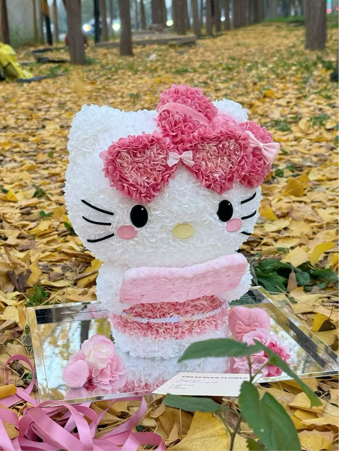 Kitty ❤️ Studying 📖 Kitty Reading Books Preserved Flowers Box 🇸🇬SG In stock