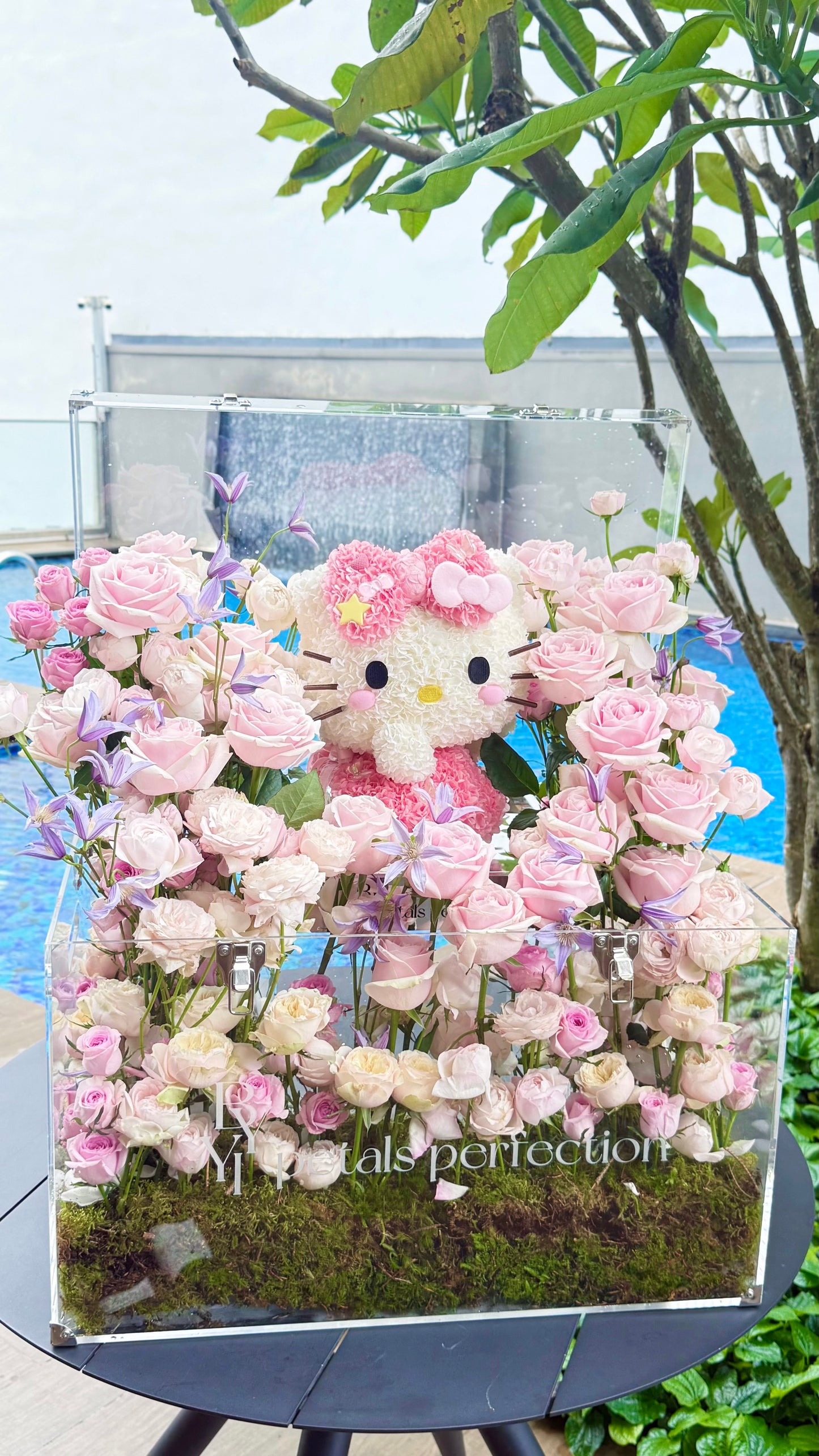 Hello Kitty Dream Fresh Roses Garden 🌹