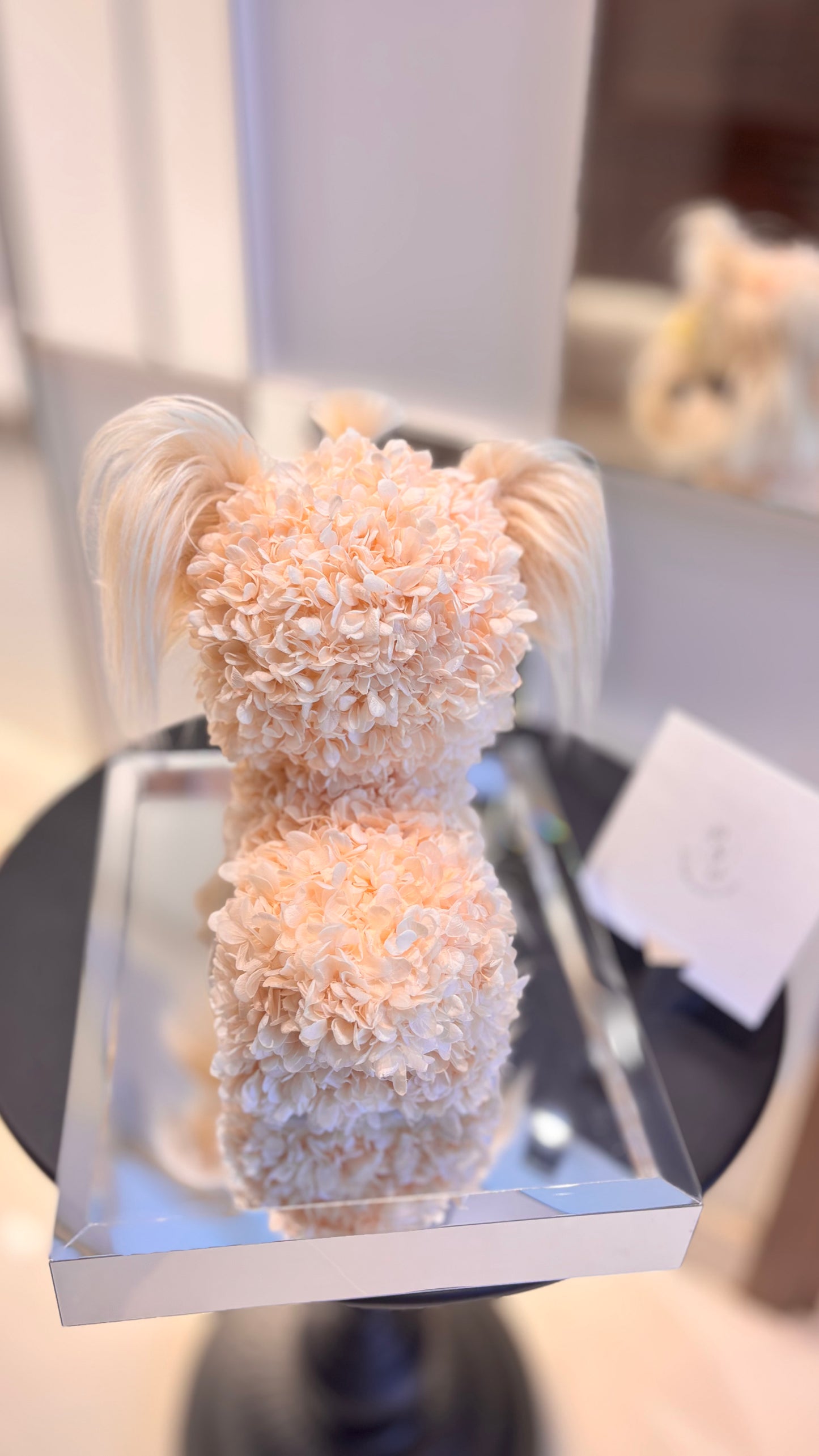 Yorkshire Puppy Love Everlasting Flowers Box 🇸🇬 SG In Stock