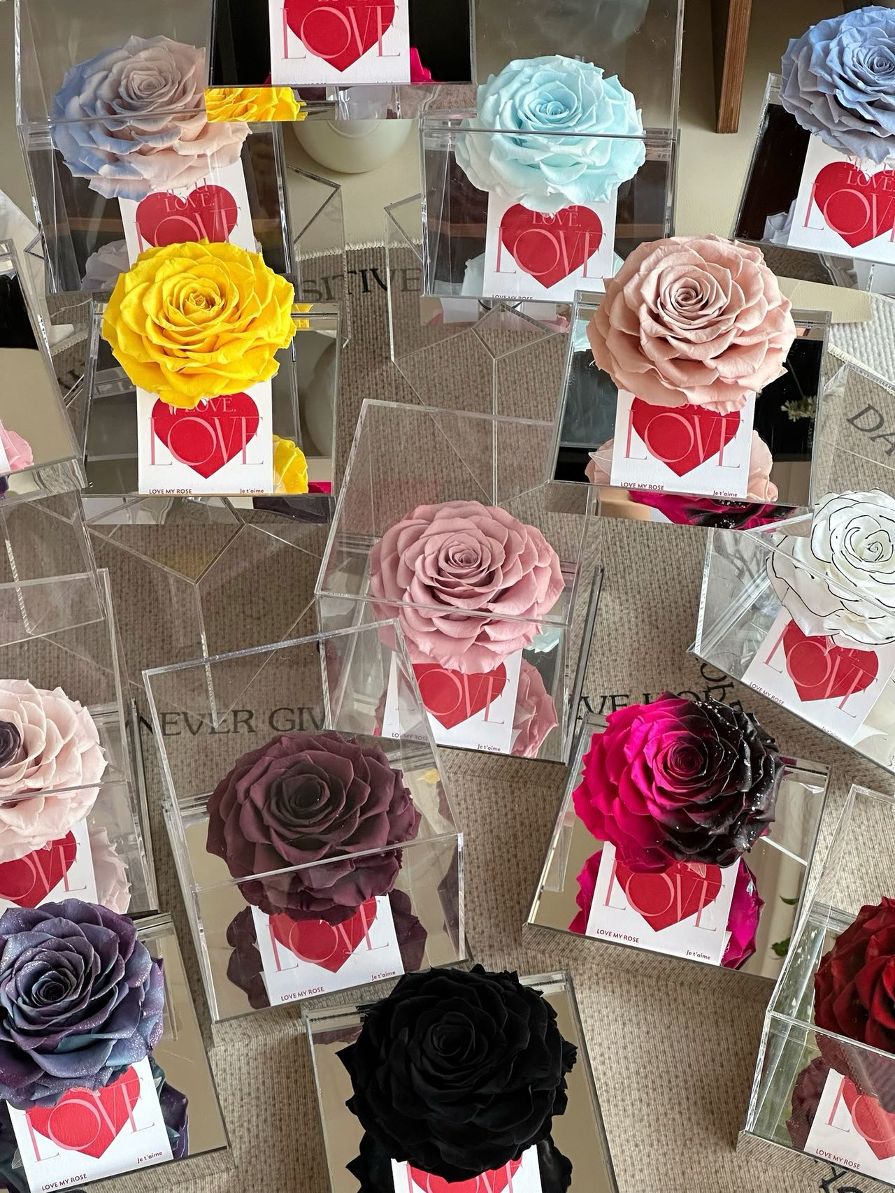 Ecuador Preserved Rose Gift Box