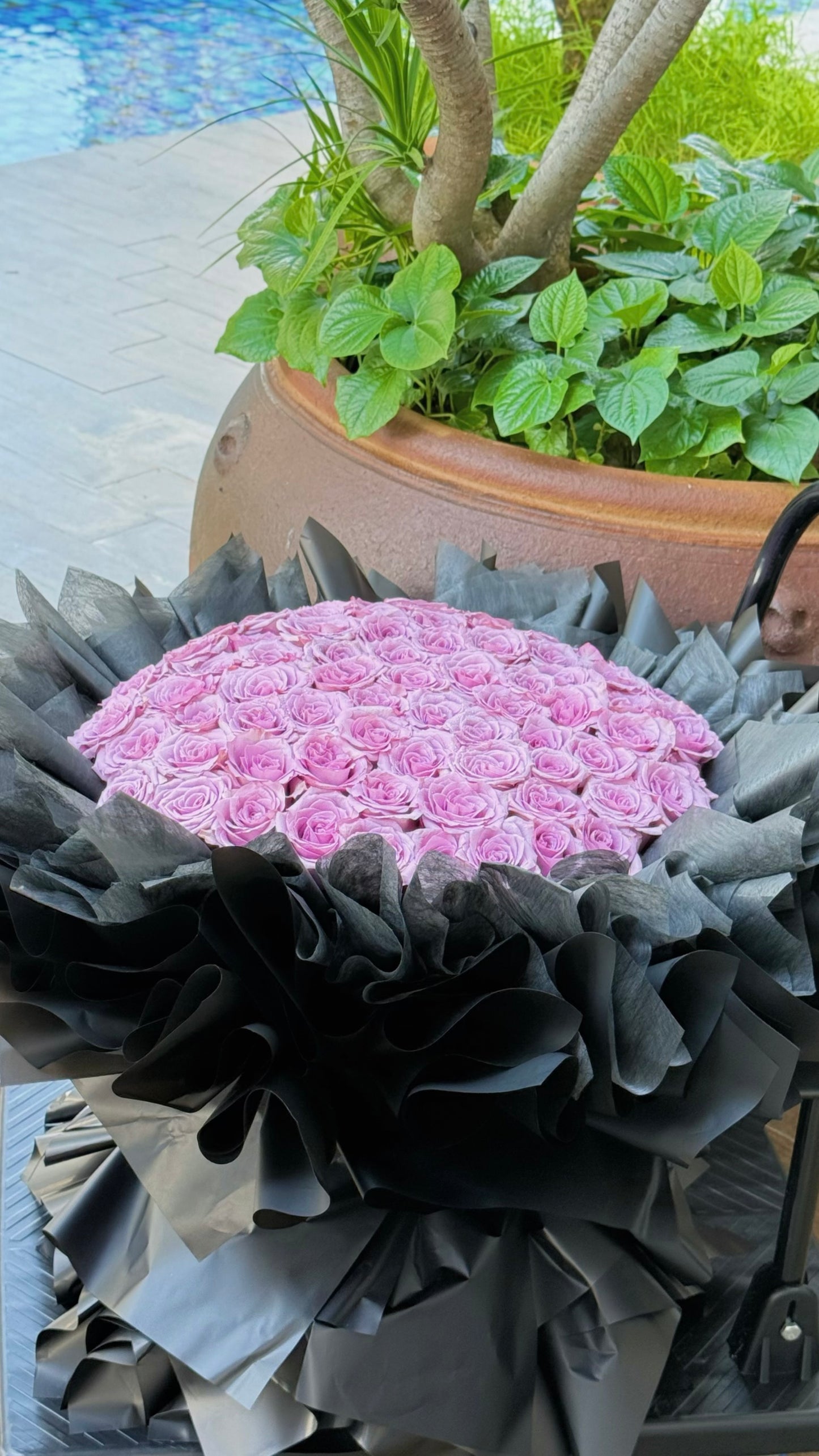 Premium Fresh Roses Bouquet ๐ 60stk