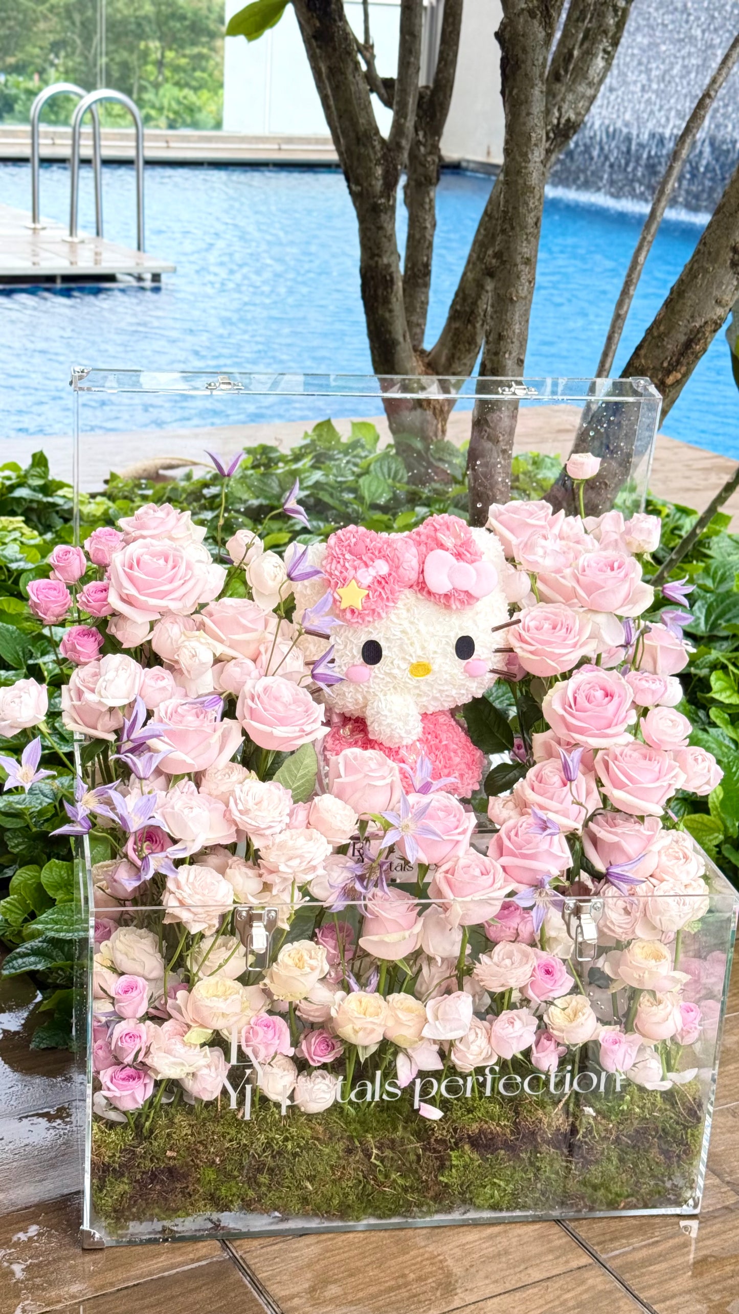 Hello Kitty Dream Fresh Roses Garden 🌹