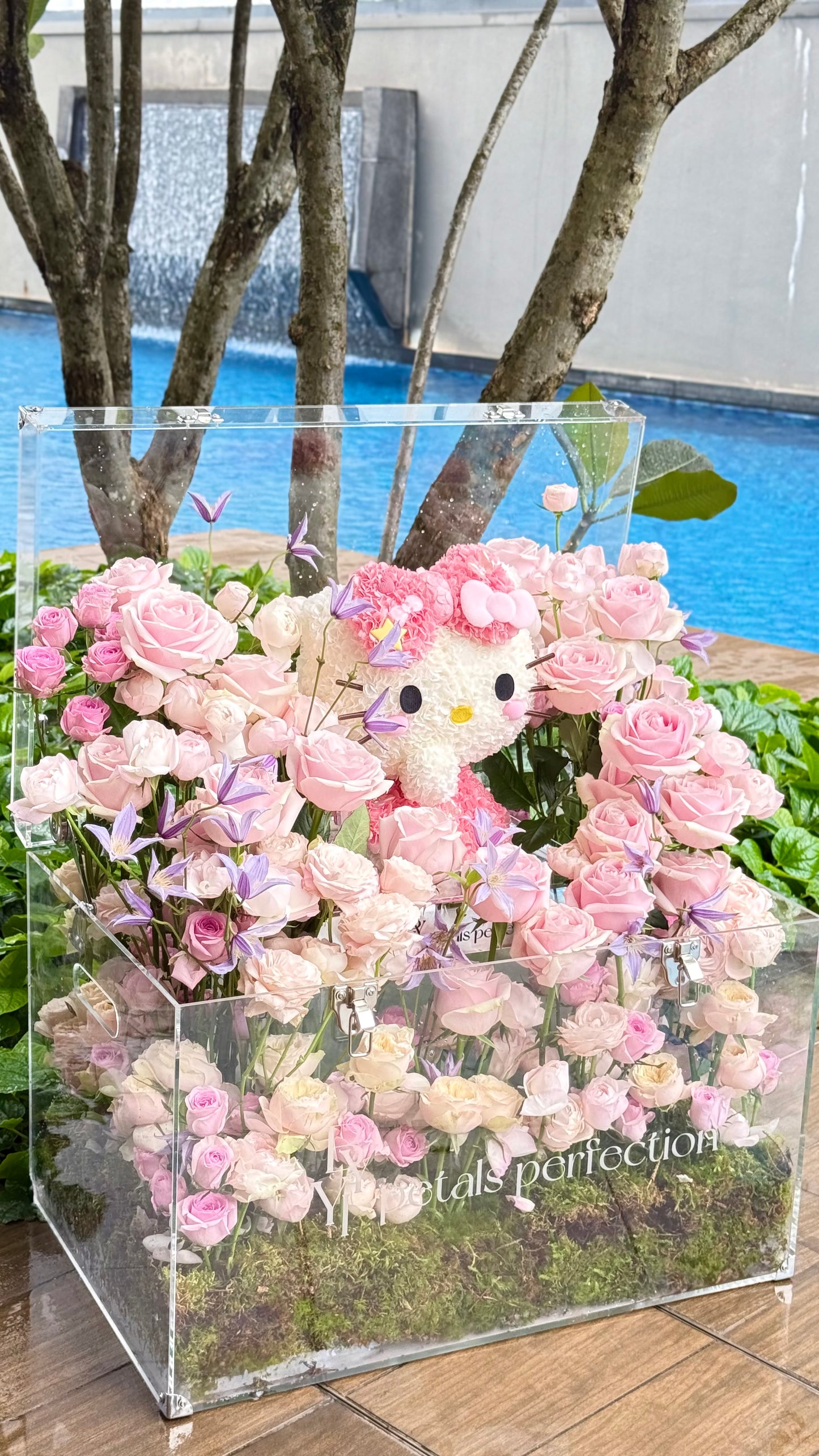 Hello Kitty Dream Fresh Roses Garden 🌹