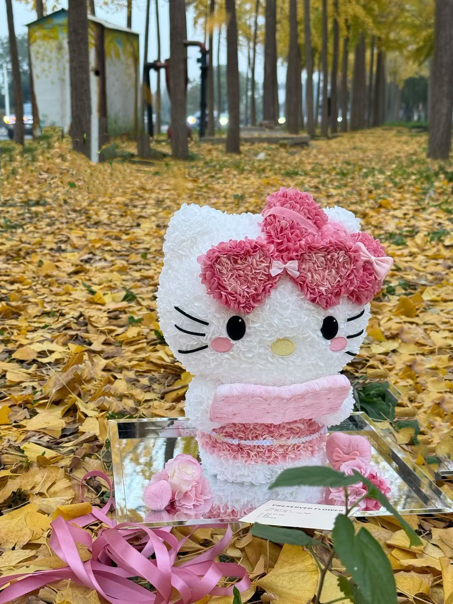 Kitty ❤️ Studying 📖 Kitty Reading Books Preserved Flowers Box 🇸🇬SG In stock