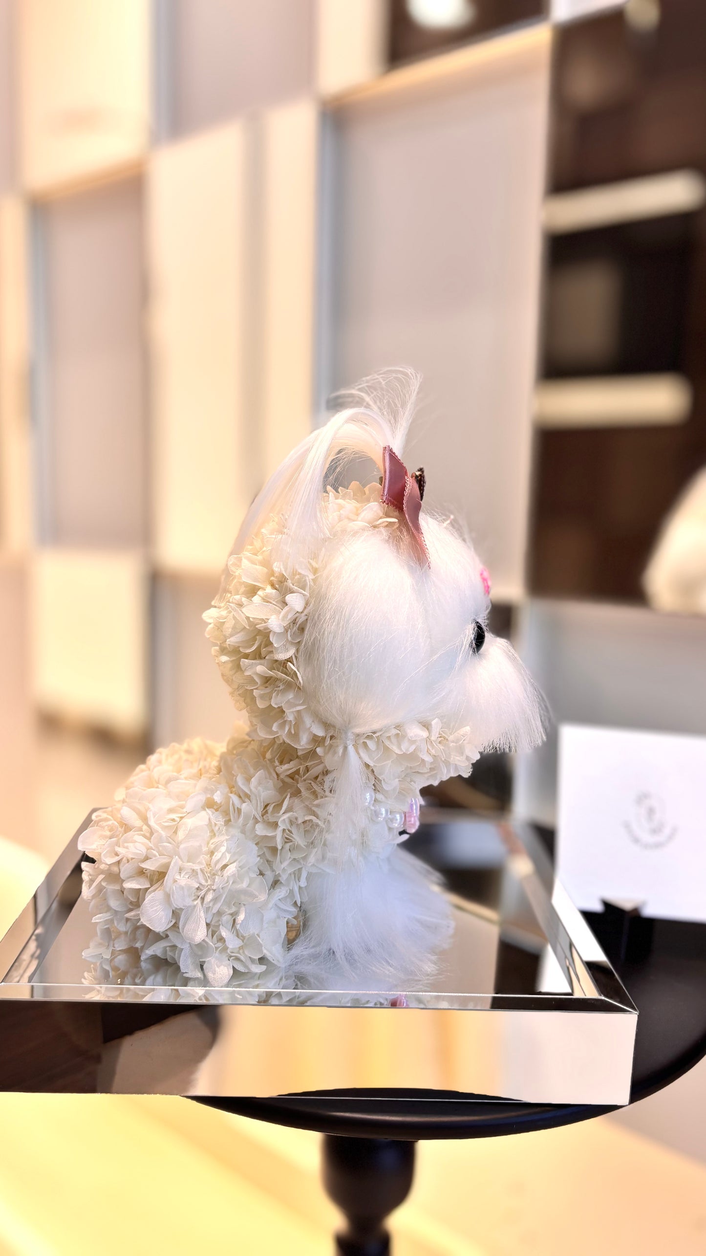 Maltese Puppy Love Everlasting Flowers Box 🎀