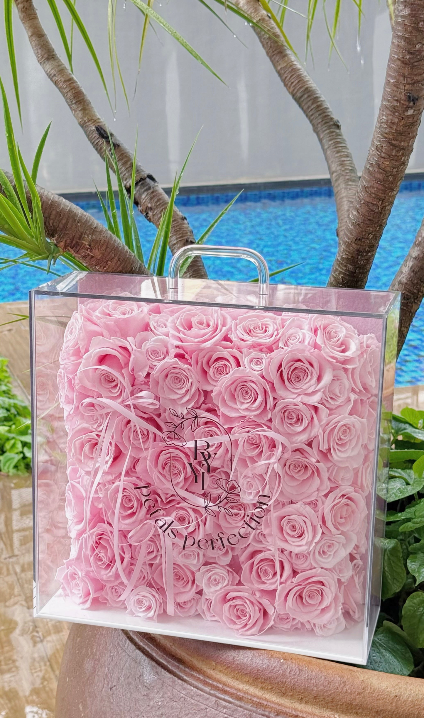 Forever Love ๐ธ Sakura Pink Preserved Roses Box ๐ธ๐ฌ SG In Stock