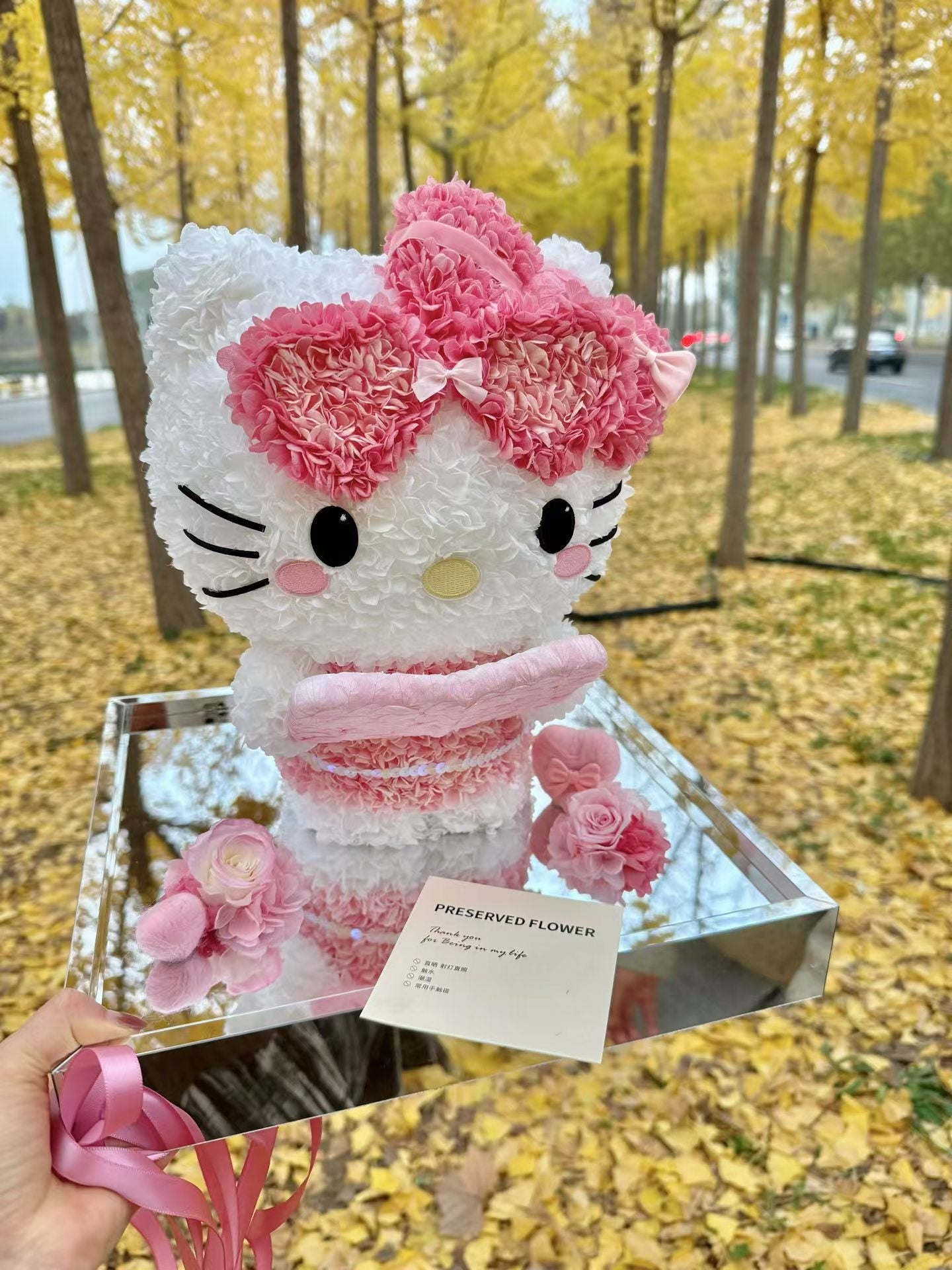Kitty ❤️ Studying 📖 Kitty Reading Books Preserved Flowers Box 🇸🇬SG In stock