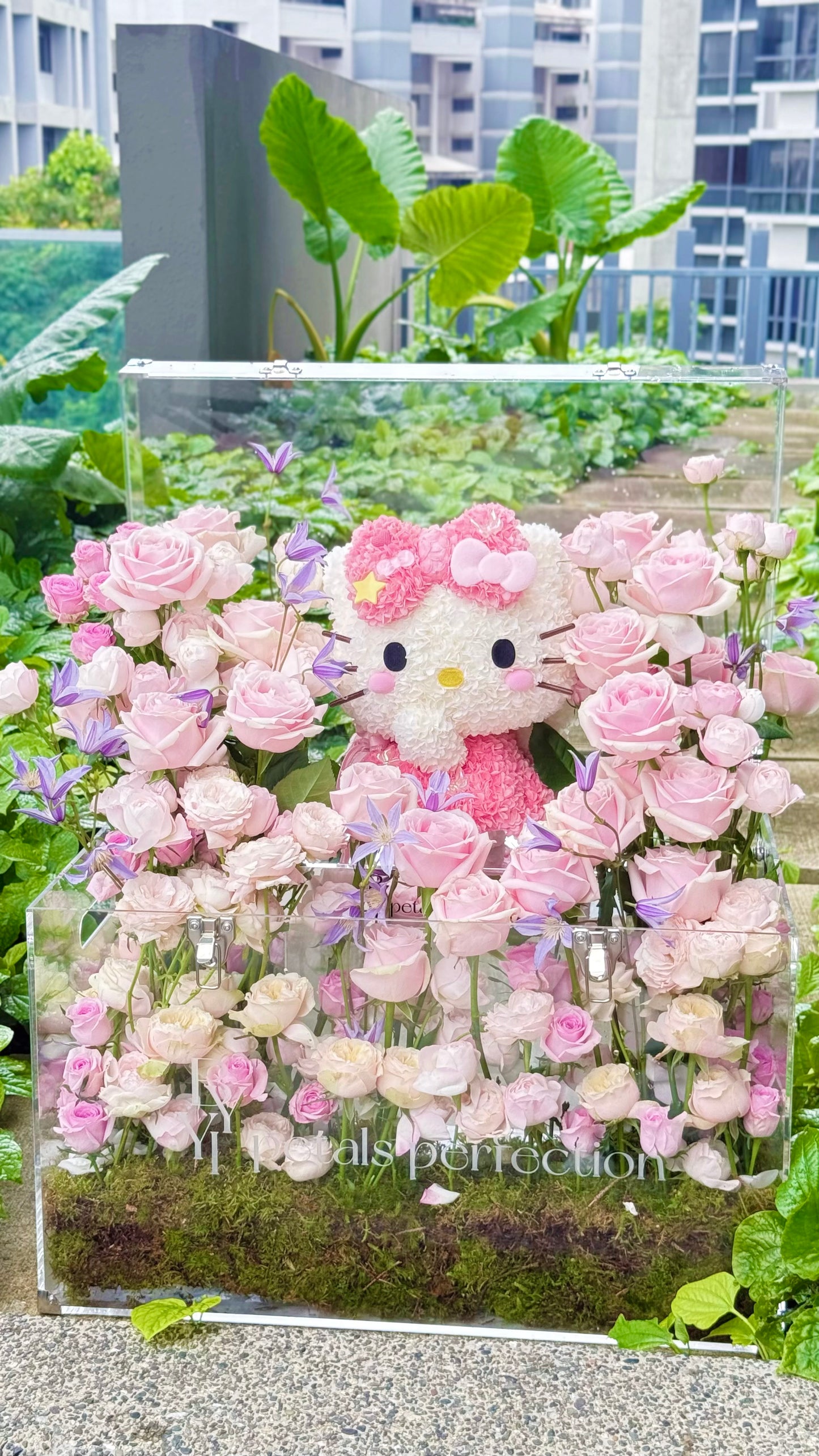 Hello Kitty Dream Fresh Roses Garden 🌹