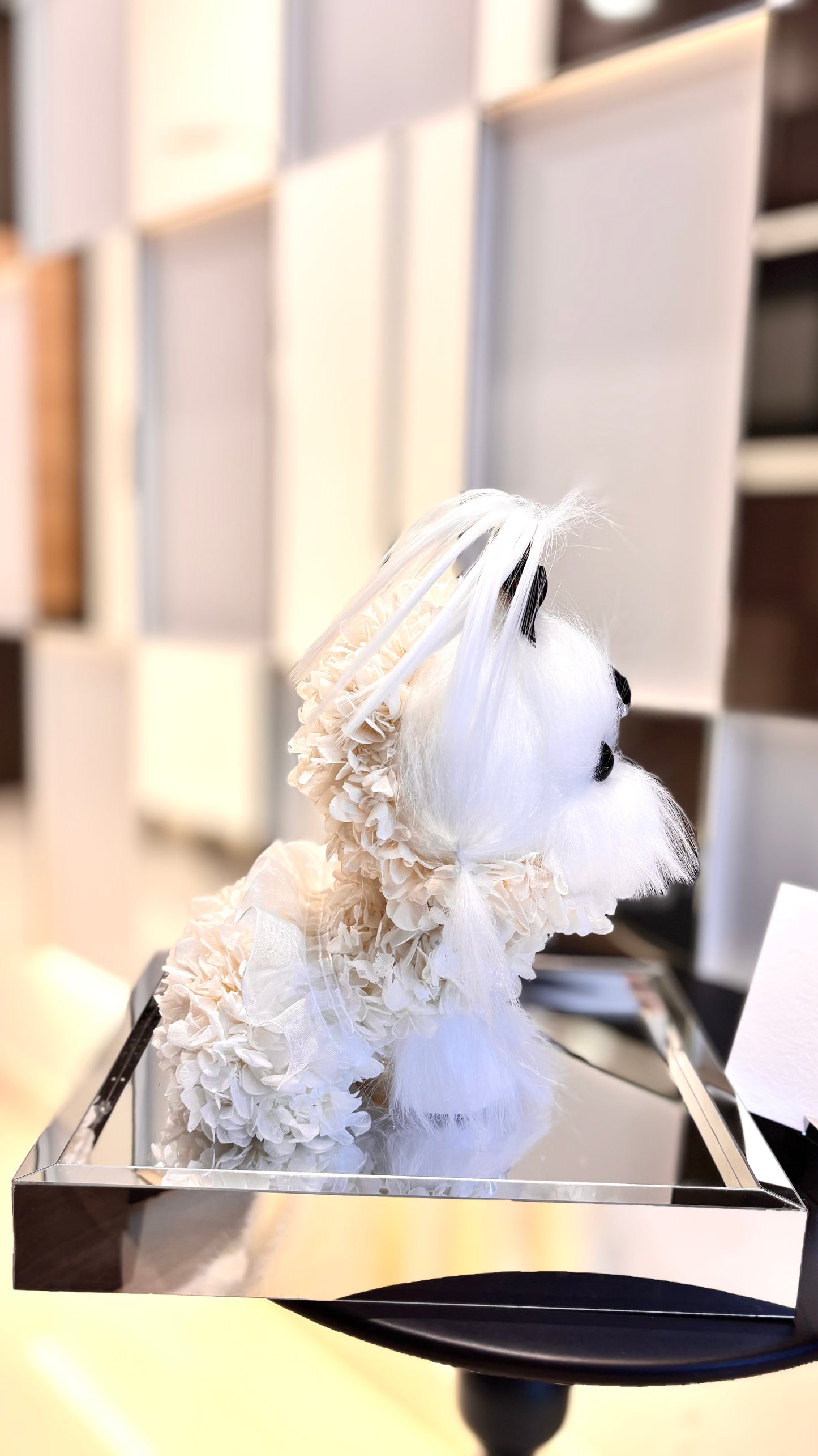 Maltese Puppy Love Everlasting Flowers Box 🖤