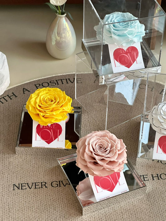Ecuador Preserved Rose Gift Box