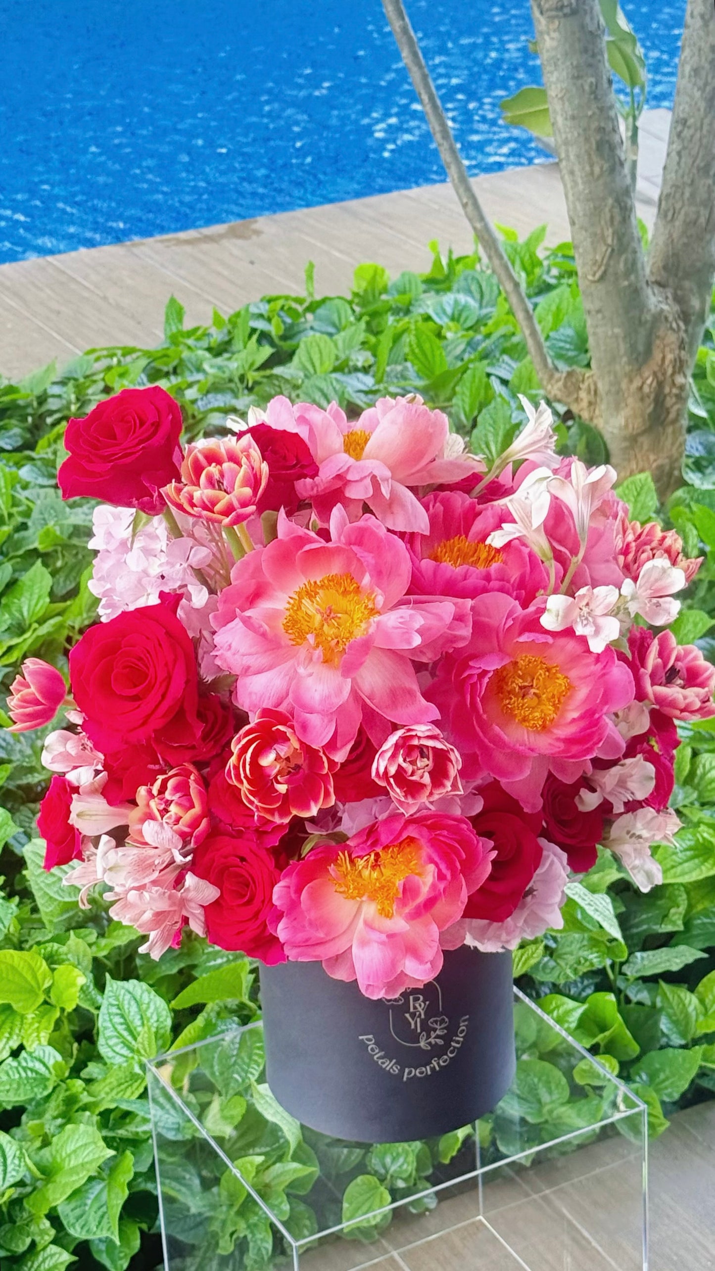 Holland Peonies Fresh Flowers Garden 💐