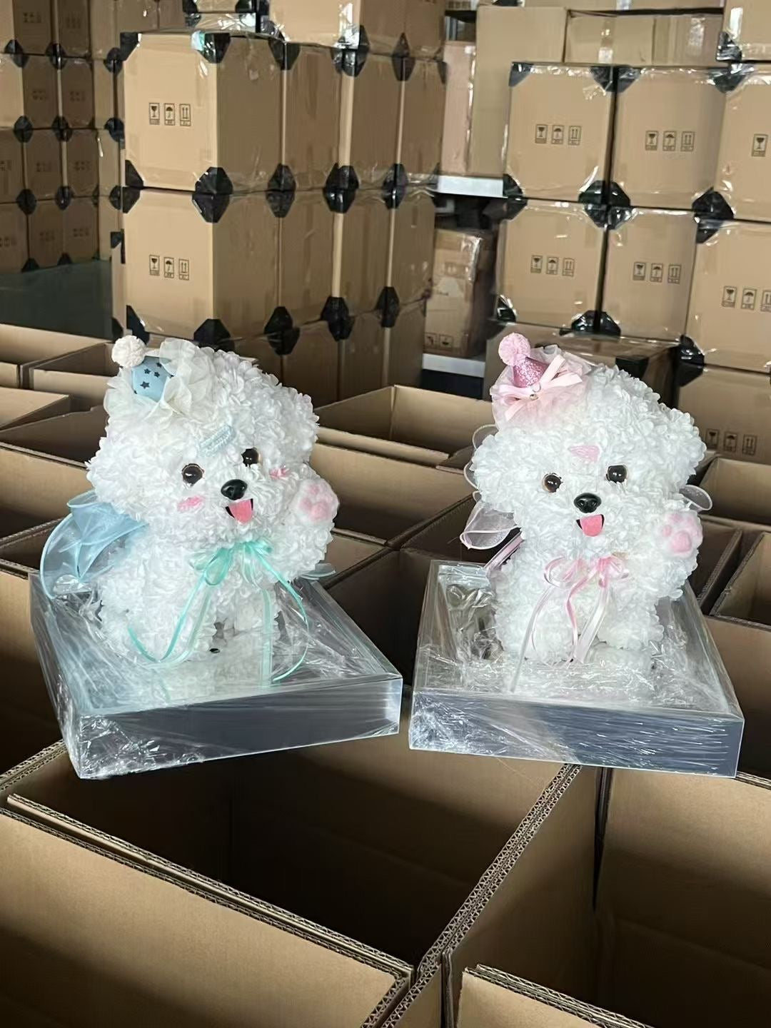 “Give Me Five” Puppy Love Preserved Flowers Box 🇸🇬 SG In Stock
