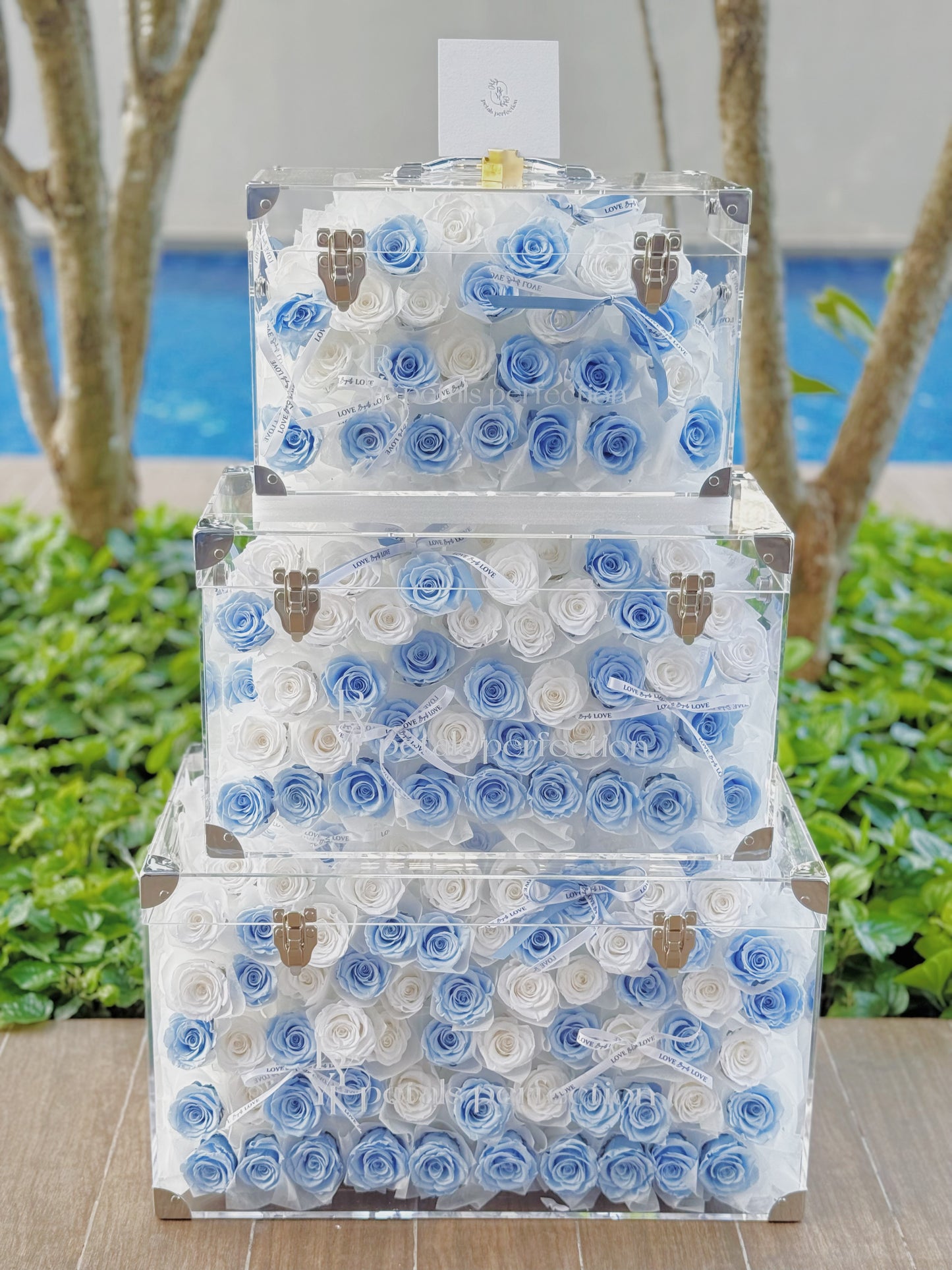 Ice Blue Preserved Roses Garden Medium Size 🩵