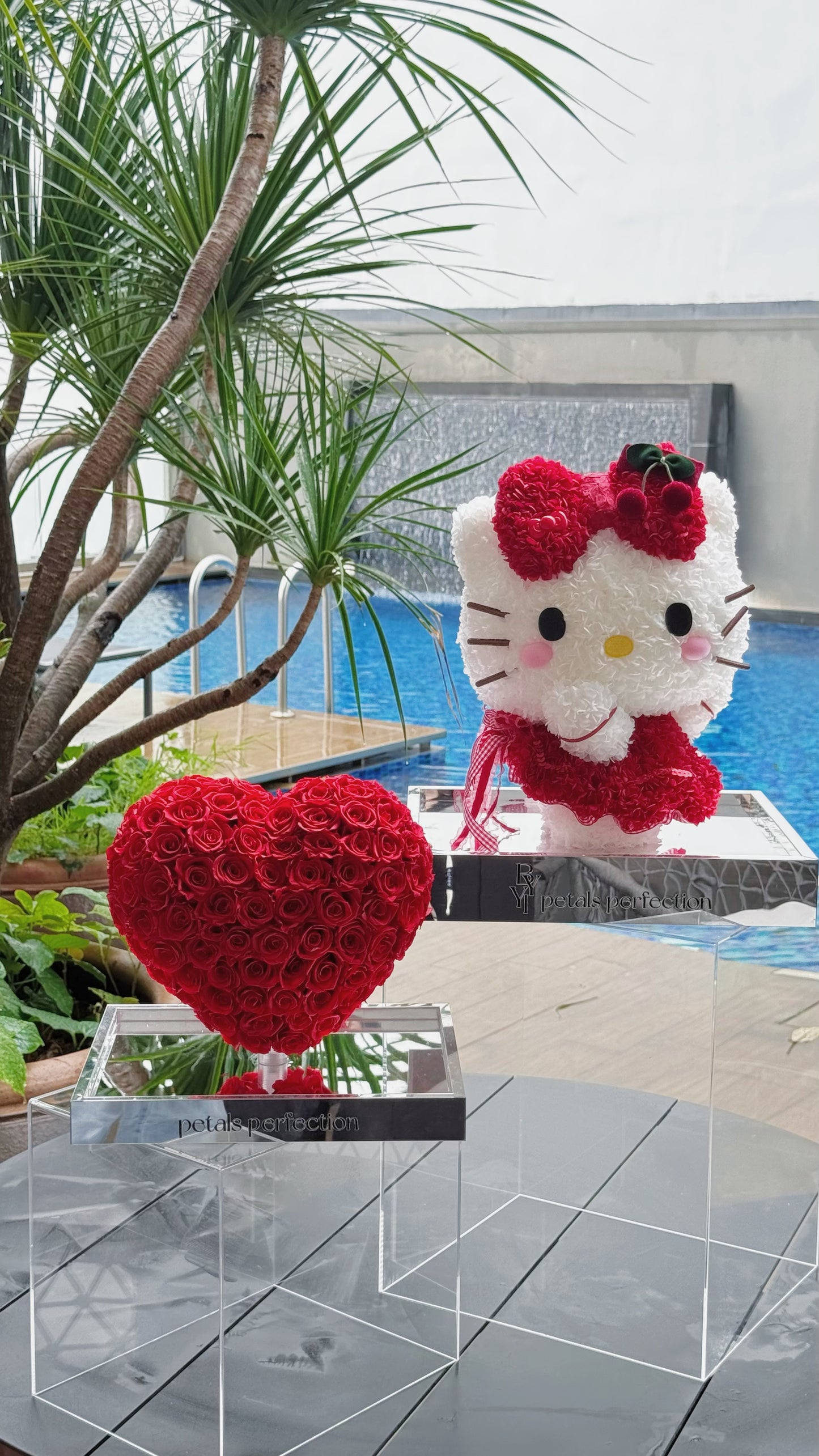 Ballet Kitty ❤️ Preserved Flowers Box🇸🇬 SG In Stock