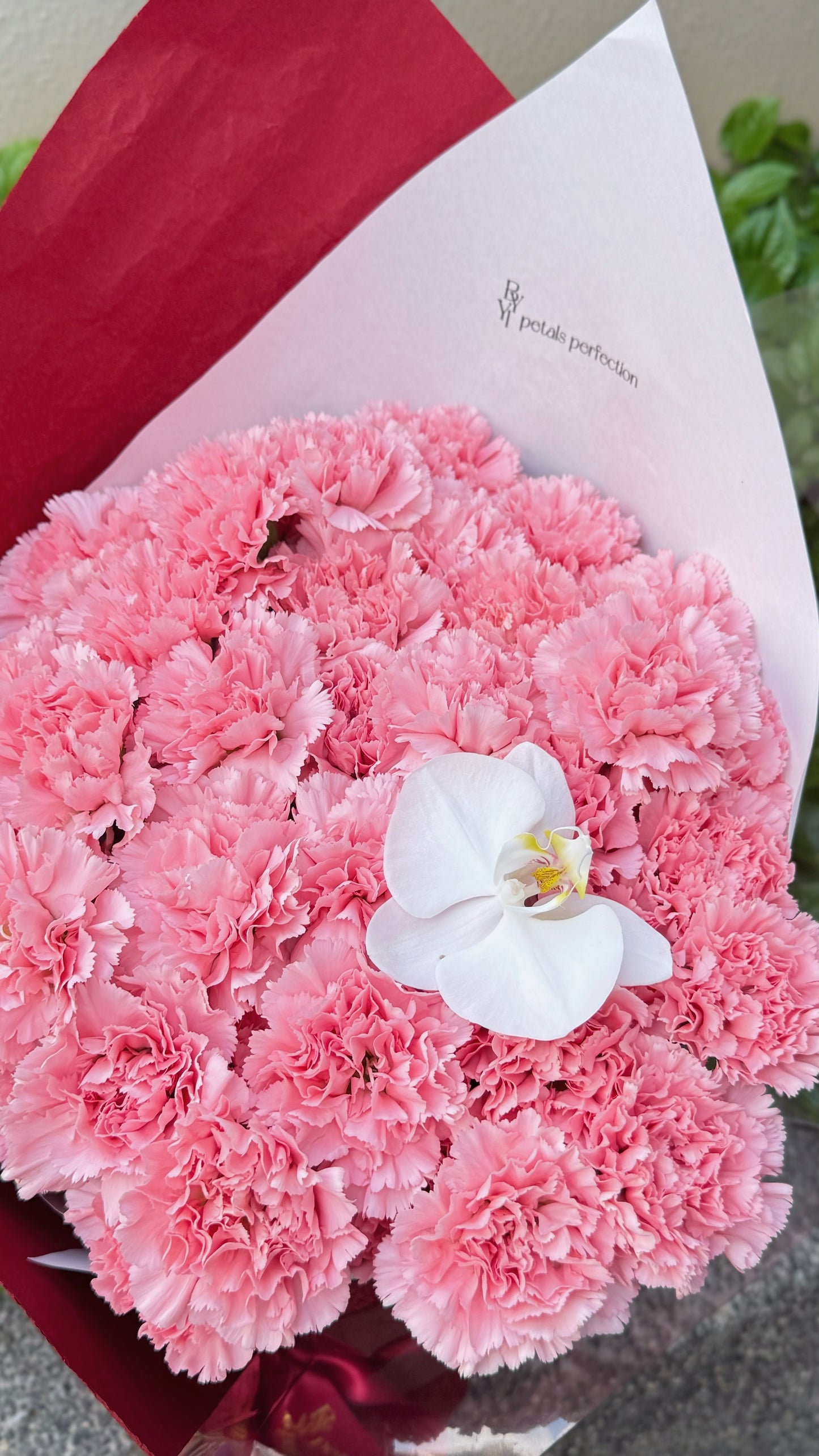 Mother’s Day Fresh Carnations Bouquet