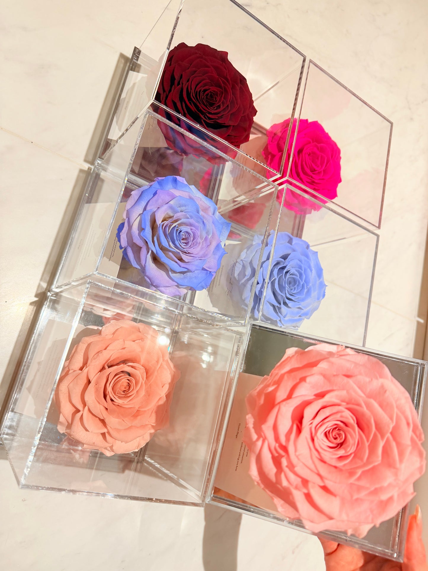 Ecuador Preserved Rose Gift Box 🌹