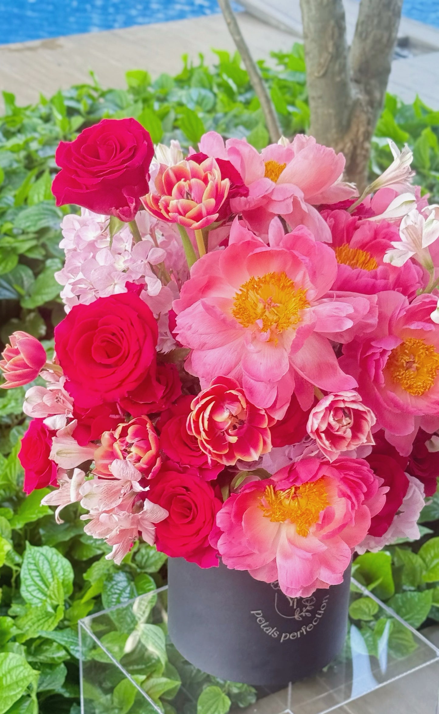 Holland Peonies Fresh Flowers Garden 💐