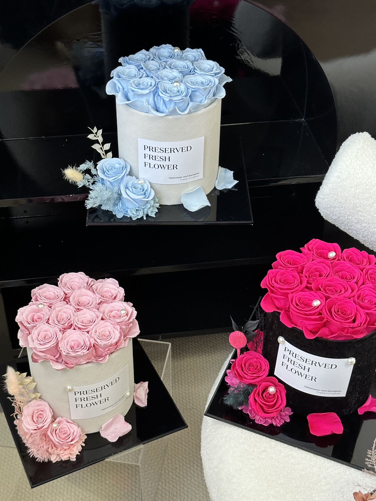 Ecuador Preserved Roses Gift Box 🩵