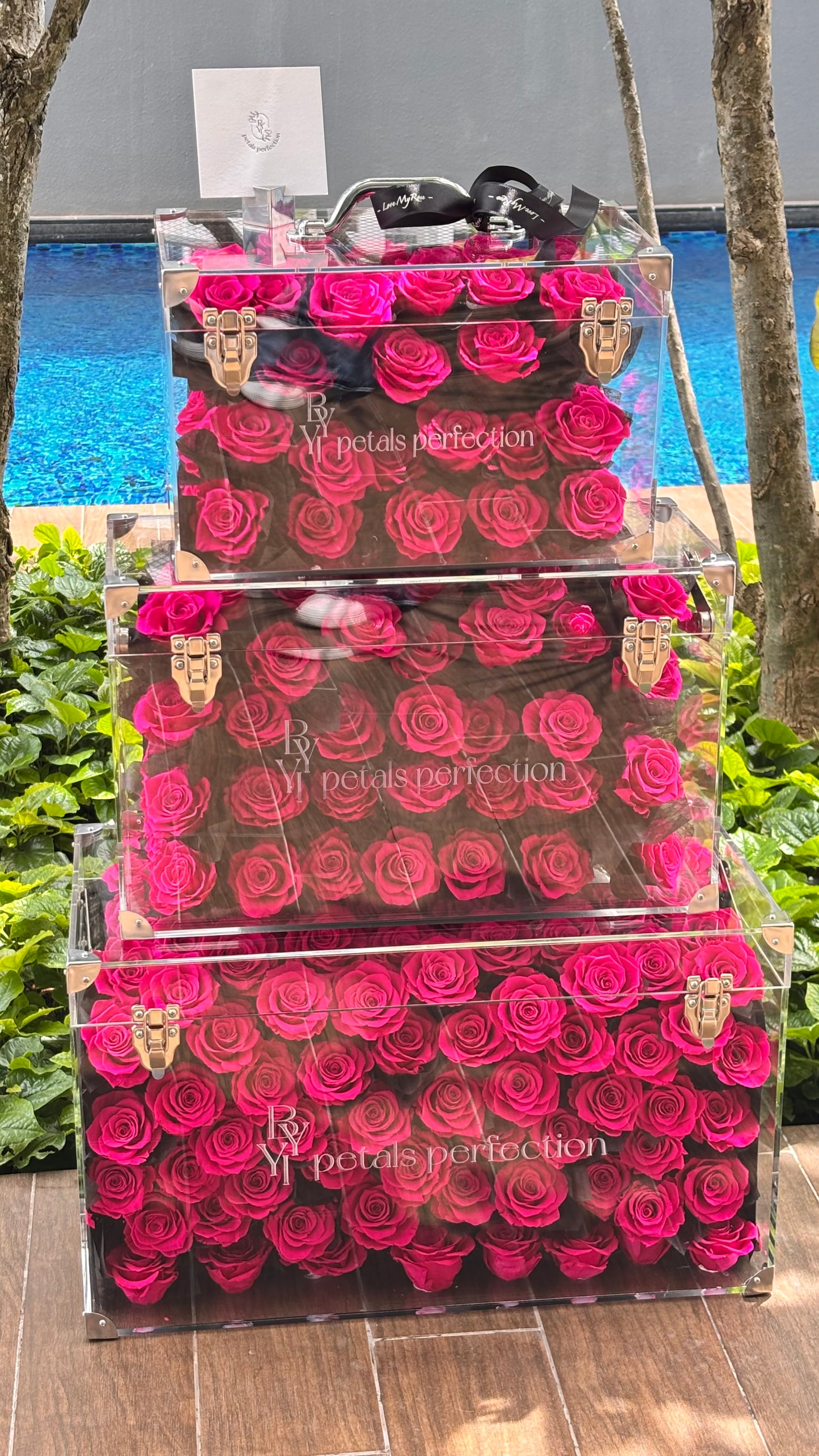 Floyd Preserved Roses Garden Large Size 🩷 SG In Stock 🇸🇬