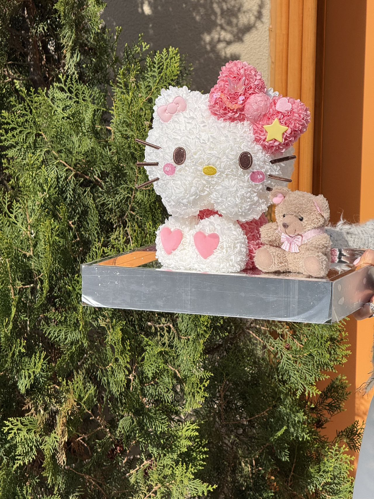 Shy Kitty & Teddy Preserved Flowers Box