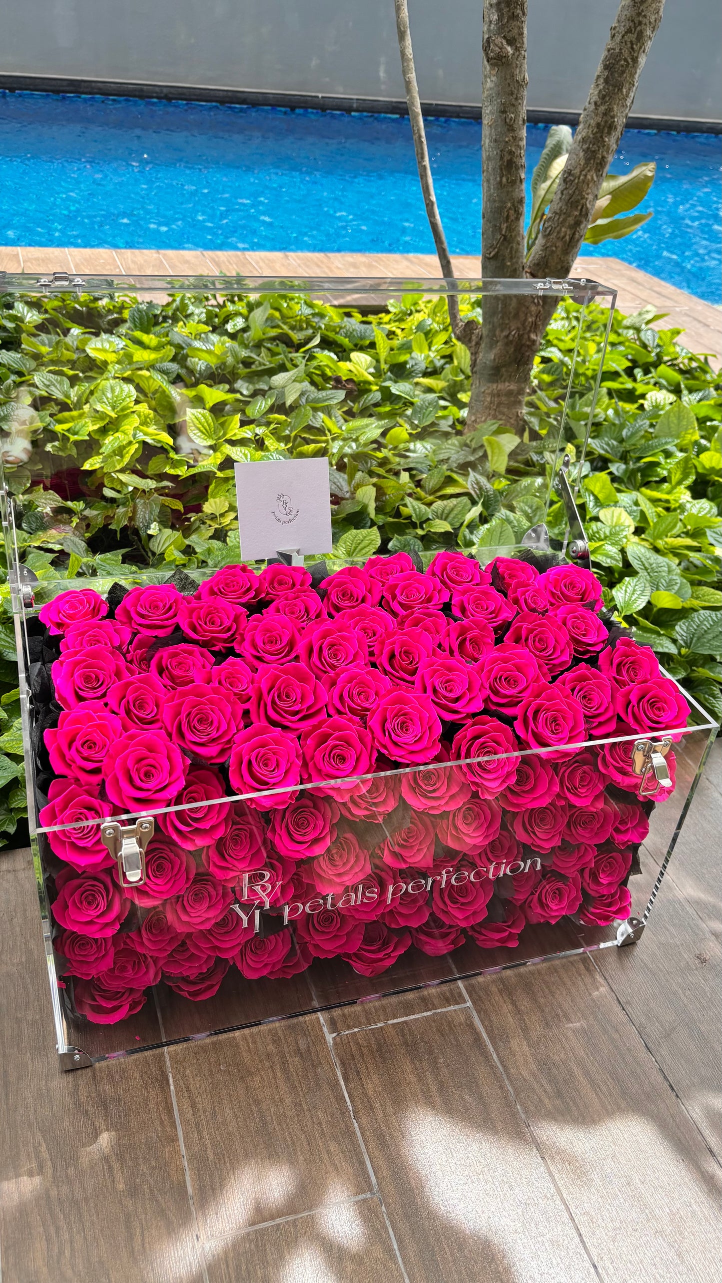 Floyd Preserved Roses Garden Large Size 🩷 SG In Stock 🇸🇬